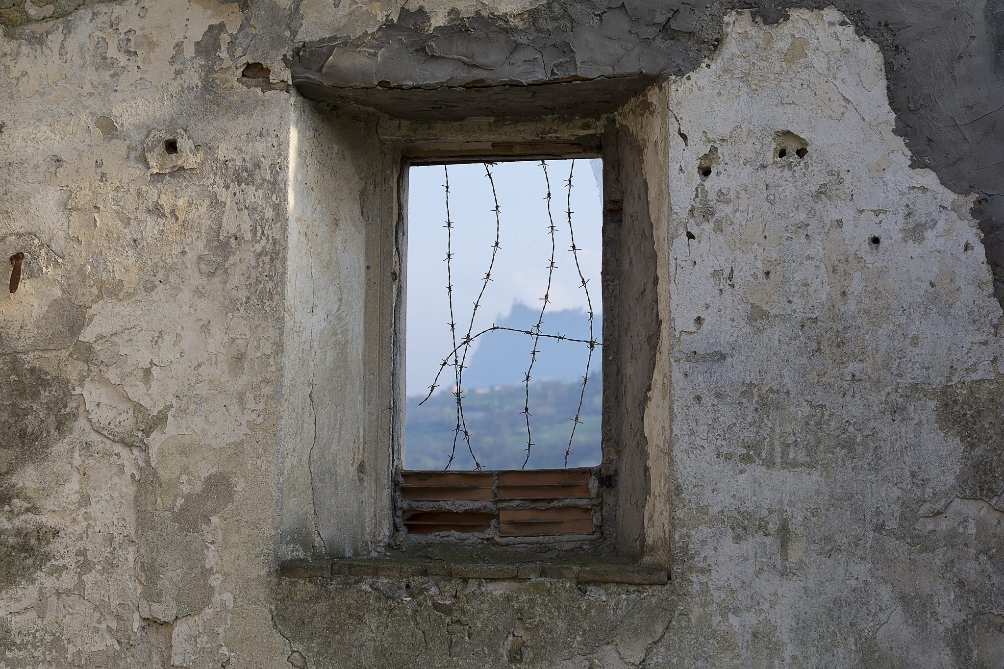 Nikon D7100 + Sigma 24-105mm F4 DG OS HSM Art sample photo. Window wire photography