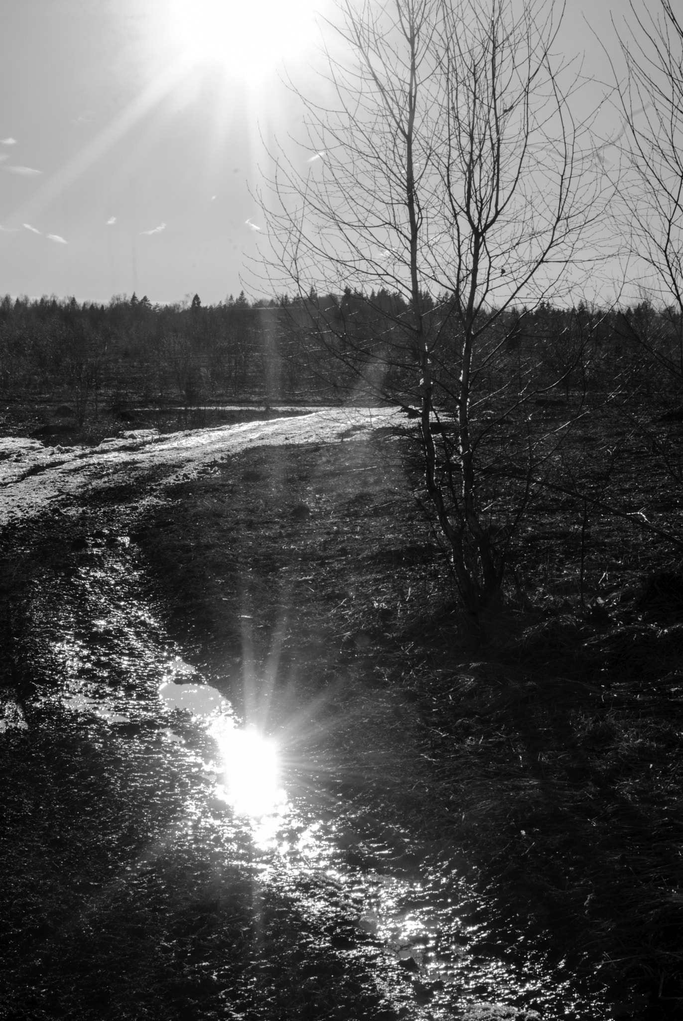 Nikon D200 sample photo. Распутица photography
