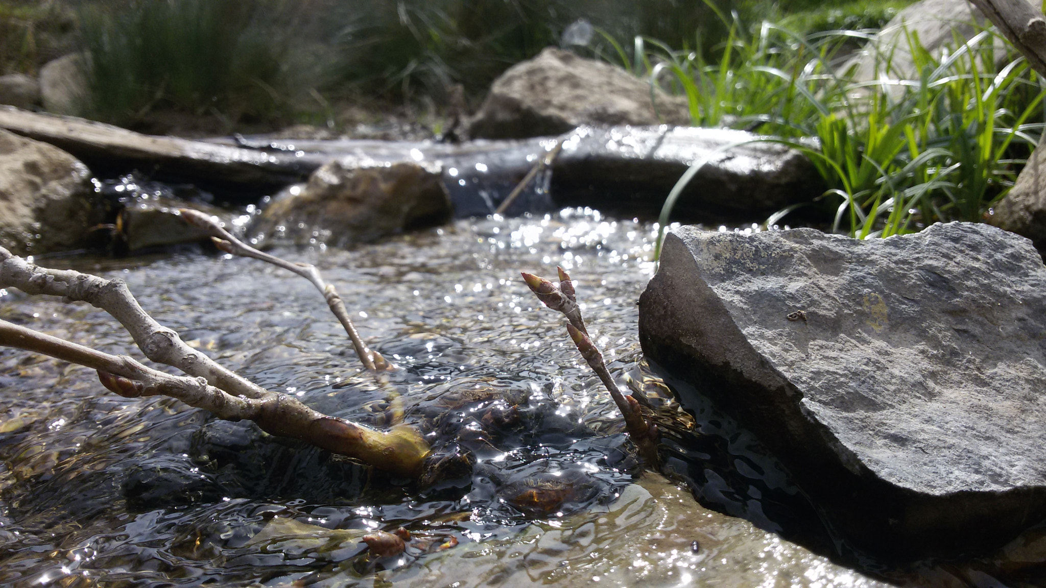 Samsung Galaxy S3 Neo sample photo
