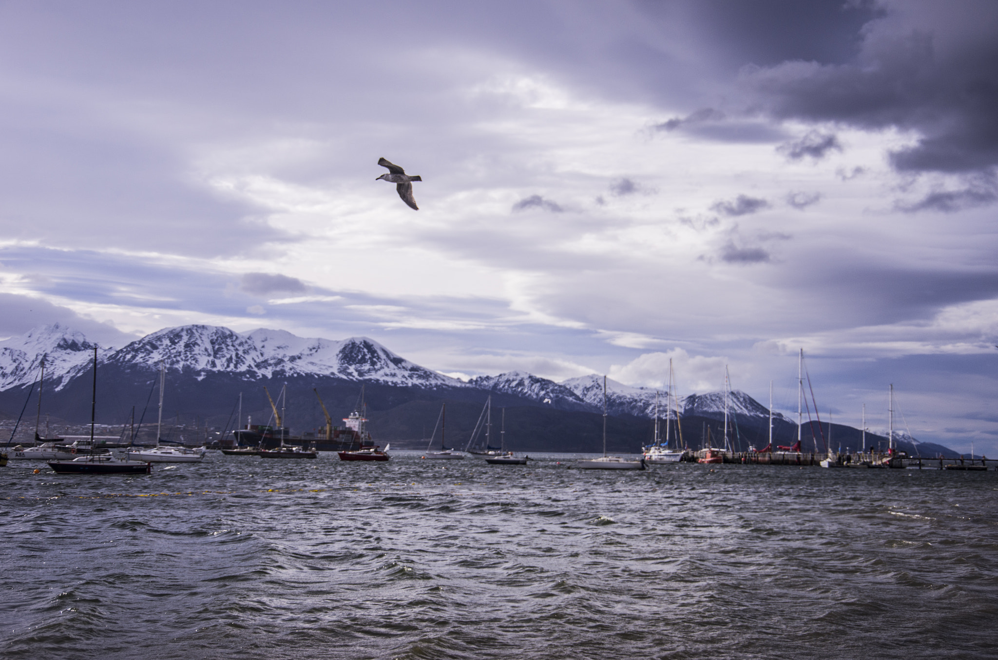 Pentax K-5 sample photo. El puerto de usuaia photography