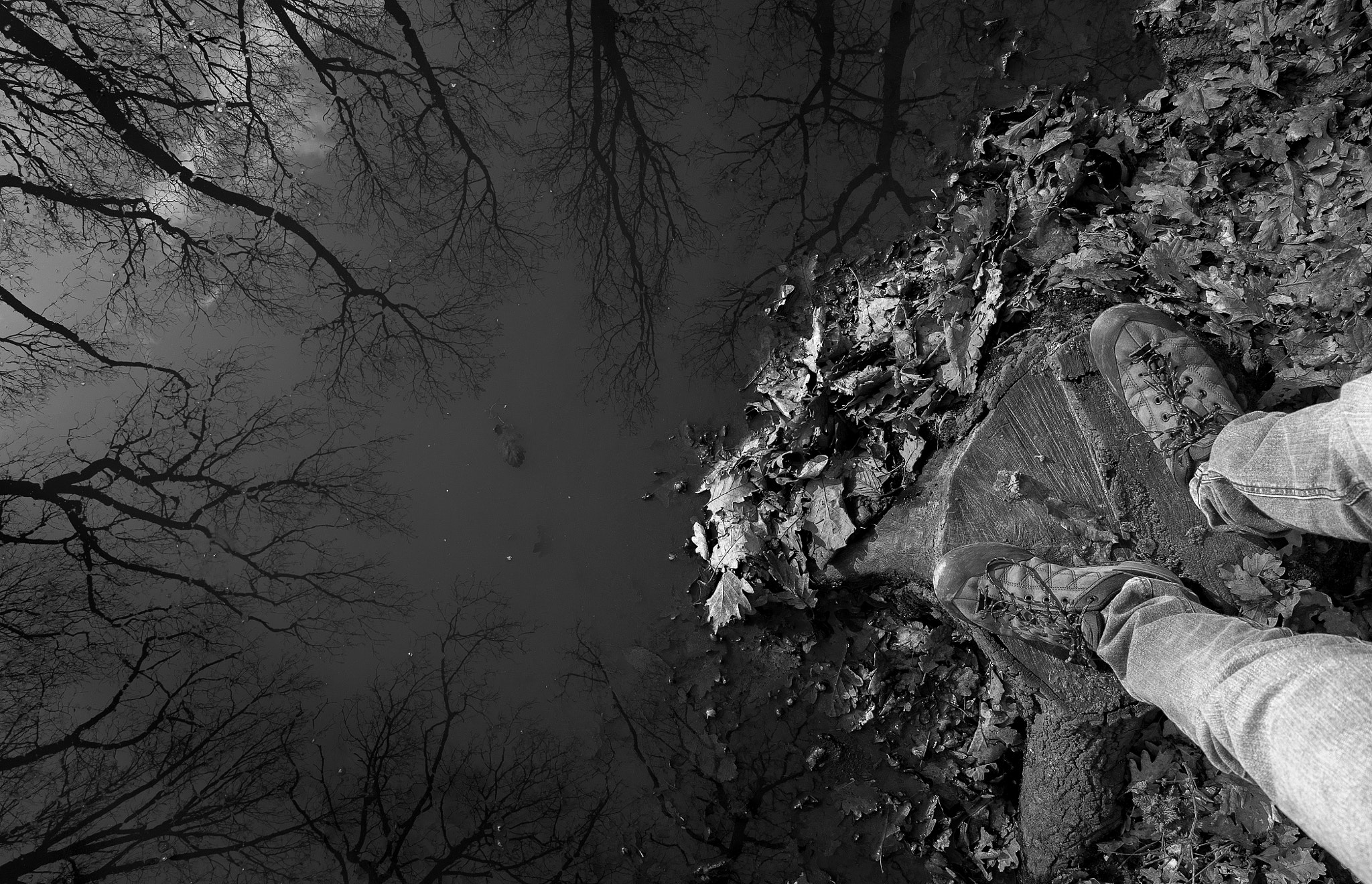 Sony Alpha DSLR-A700 sample photo. Puddle of trees photography
