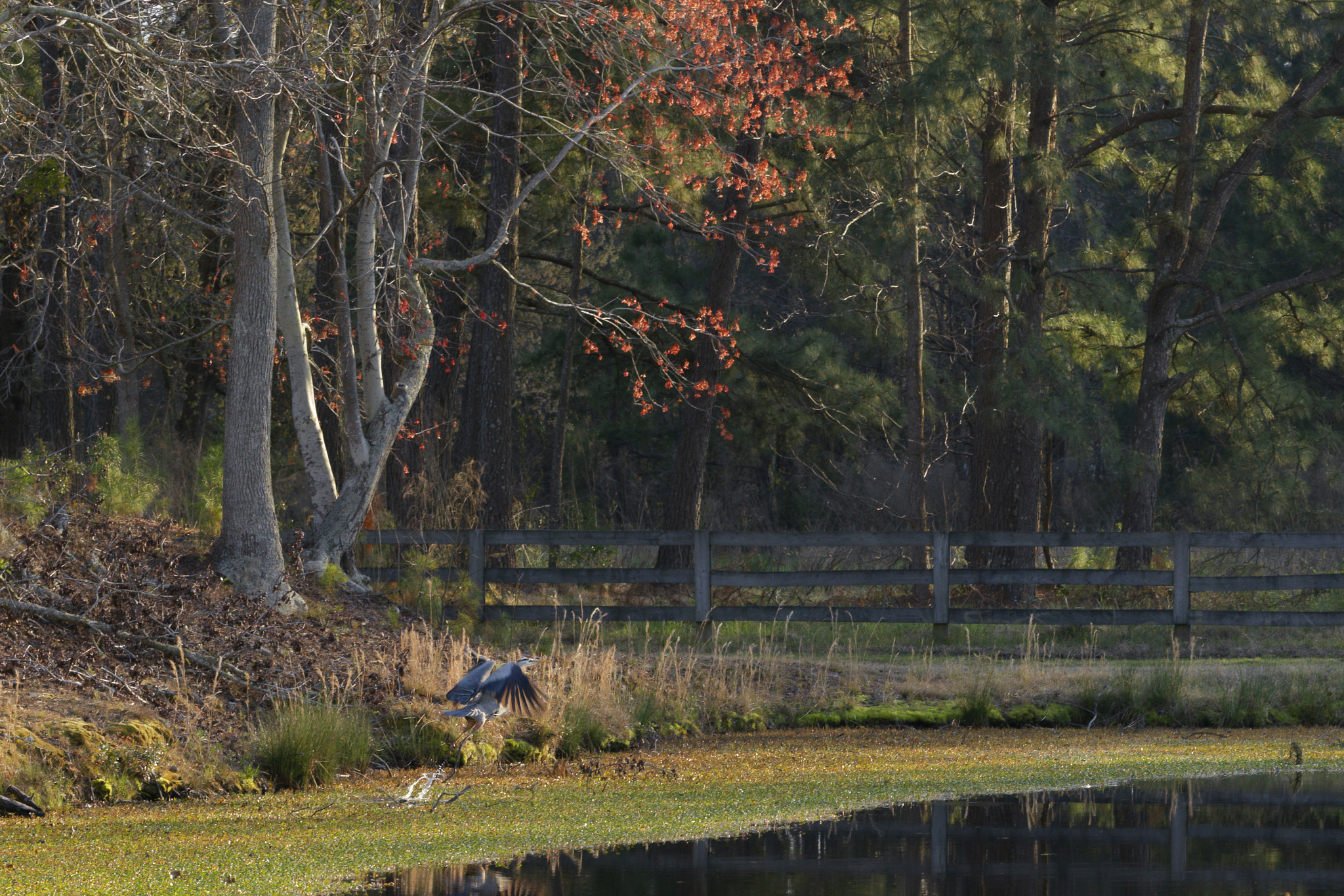 Hasselblad XCD 90mm F3.2 sample photo. Long stretch photography