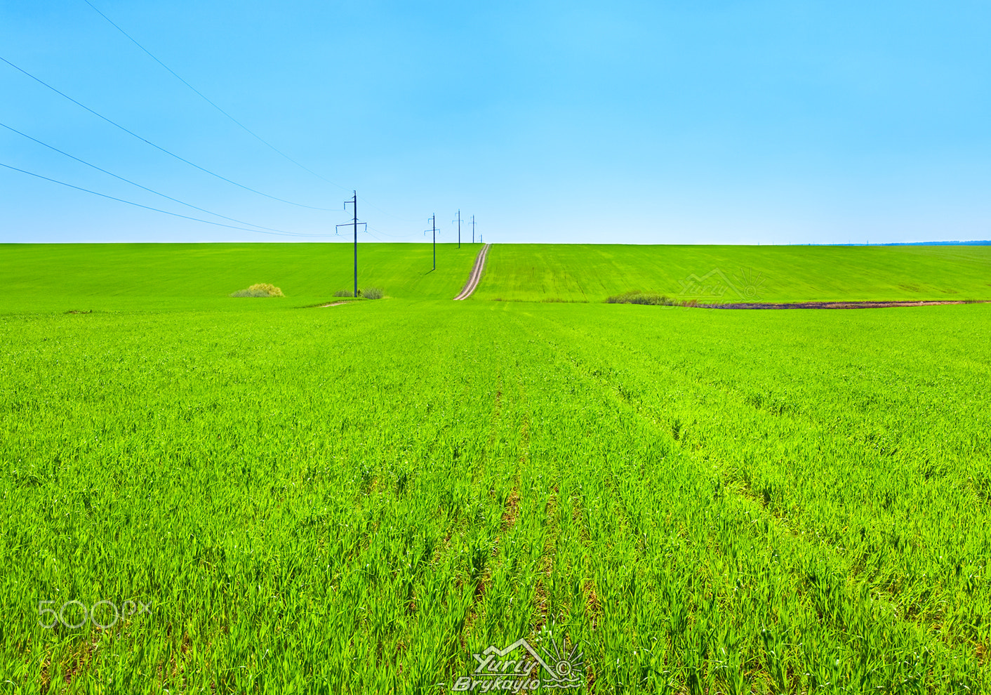 Canon EOS 5D + Canon EF 16-35mm F2.8L II USM sample photo. Beautiful spring wheat field photography