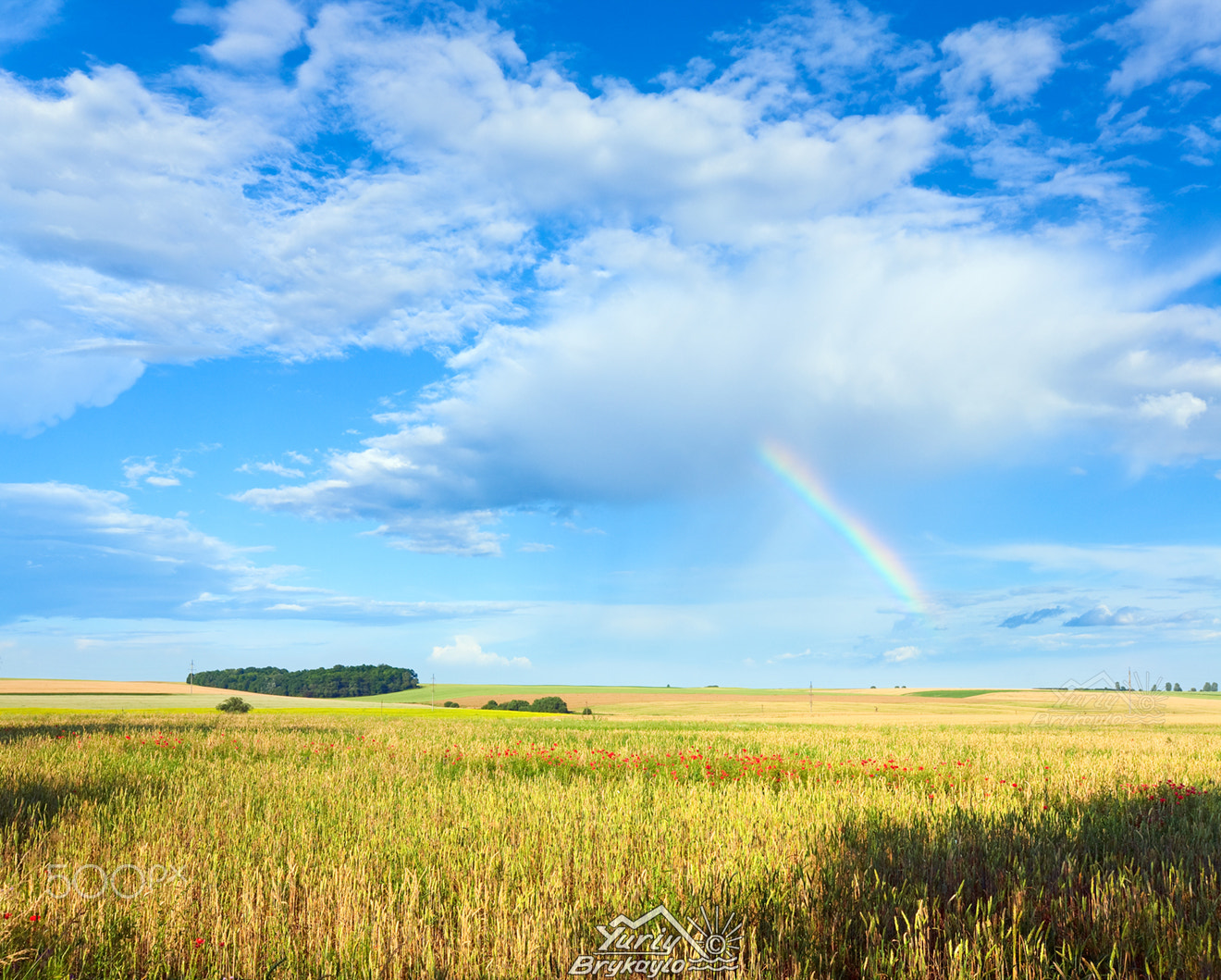 Canon EOS 5D + Canon EF 16-35mm F2.8L II USM sample photo. Rainbow and summer meadow. photography