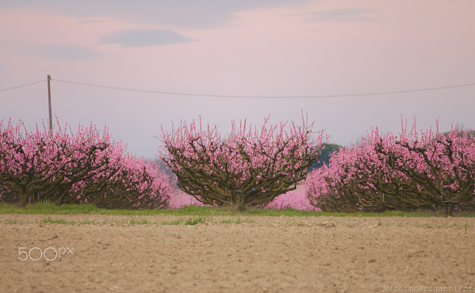 Canon EOS 70D + Tamron SP 35mm F1.8 Di VC USD sample photo. Peschi photography