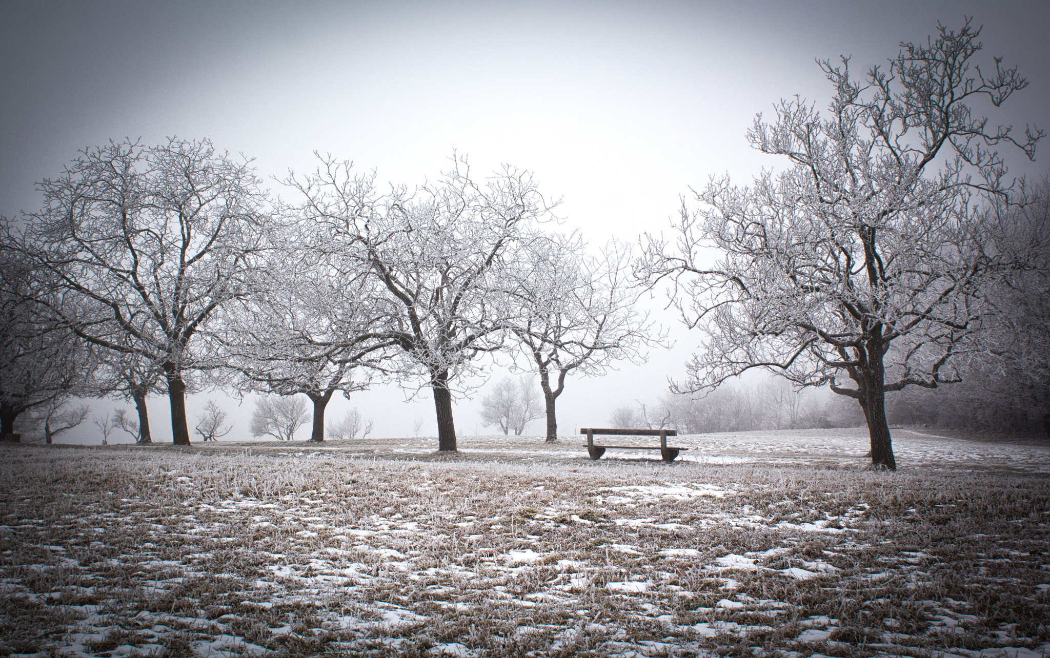 Canon EOS 550D (EOS Rebel T2i / EOS Kiss X4) + Canon EF 28mm F1.8 USM sample photo. Snow bench photography