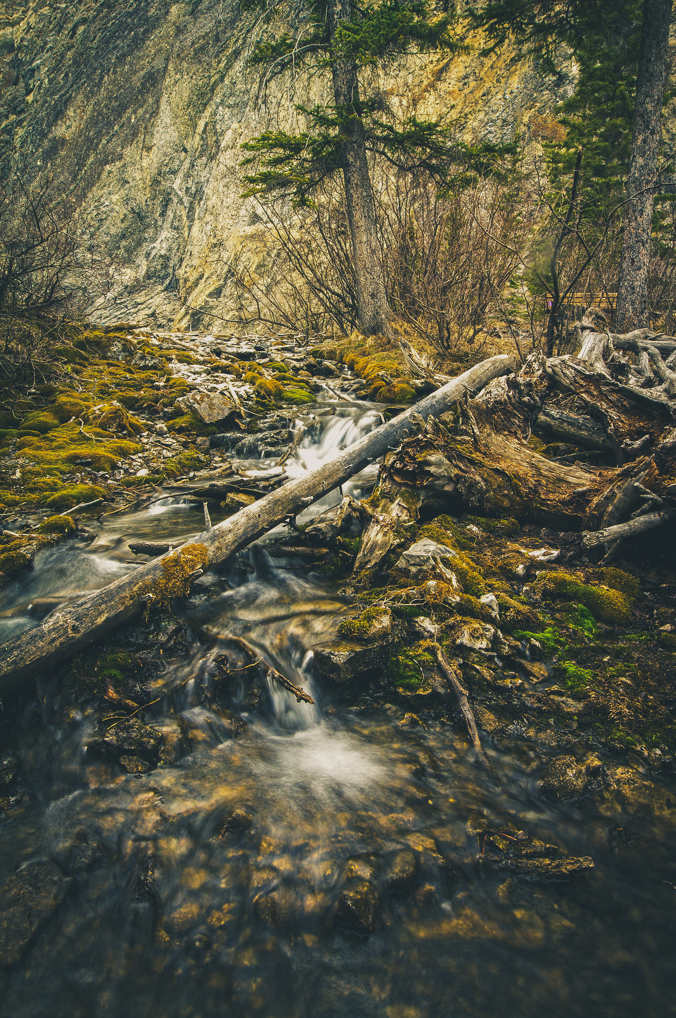 Canon EOS 60D + Sigma 10-20mm F4-5.6 EX DC HSM sample photo. Transparent stream photography