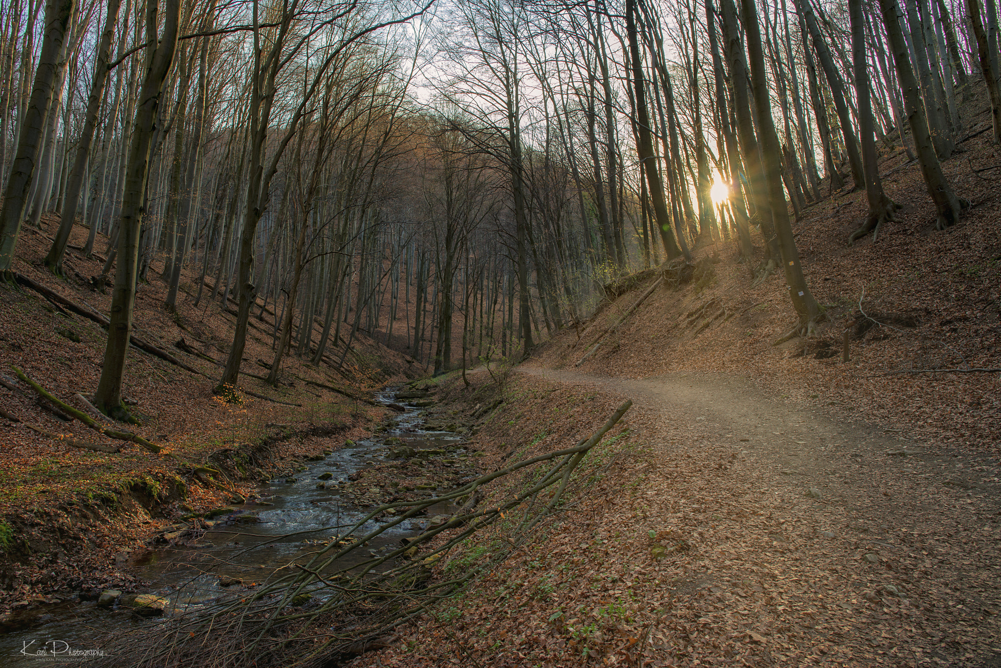 Nikon D800 sample photo. Pécs- obánya 2017 photography