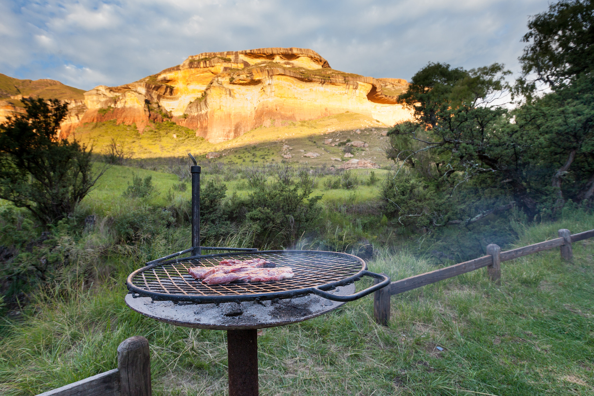 Canon EF 16-35mm F2.8L II USM sample photo. Have a steak photography