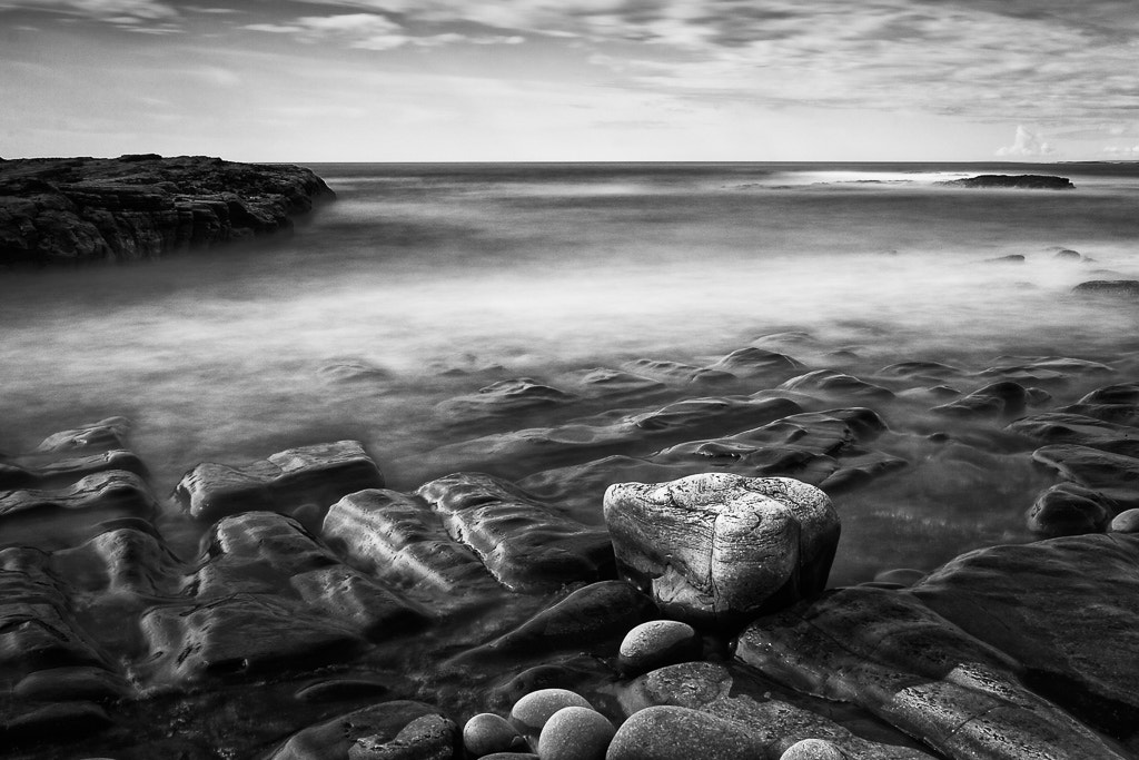 Tamron SP AF 17-50mm F2.8 XR Di II LD Aspherical (IF) sample photo. Rinanoughter point photography