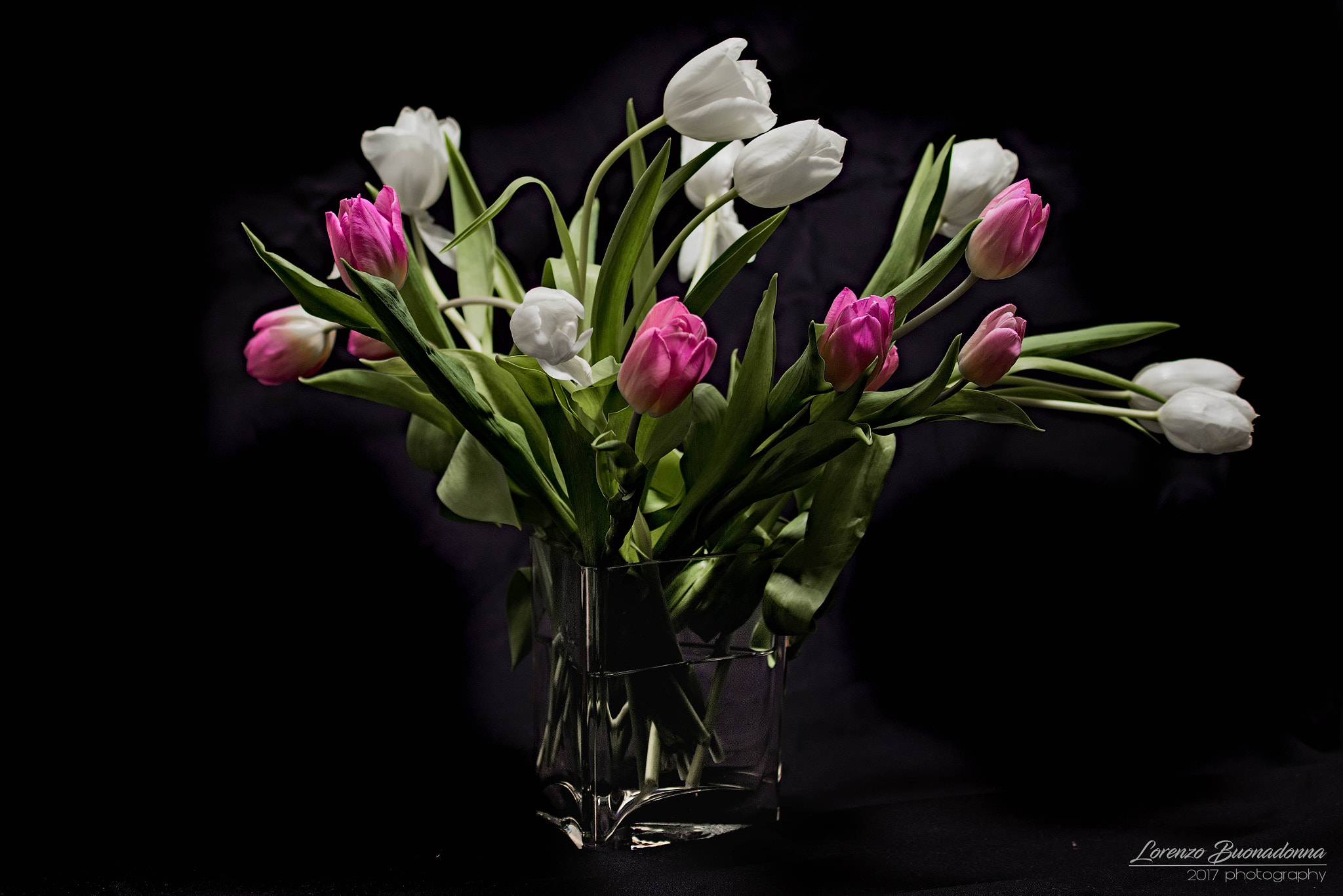 Canon EF 70-200mm F4L IS USM sample photo. Tulips 2 photography
