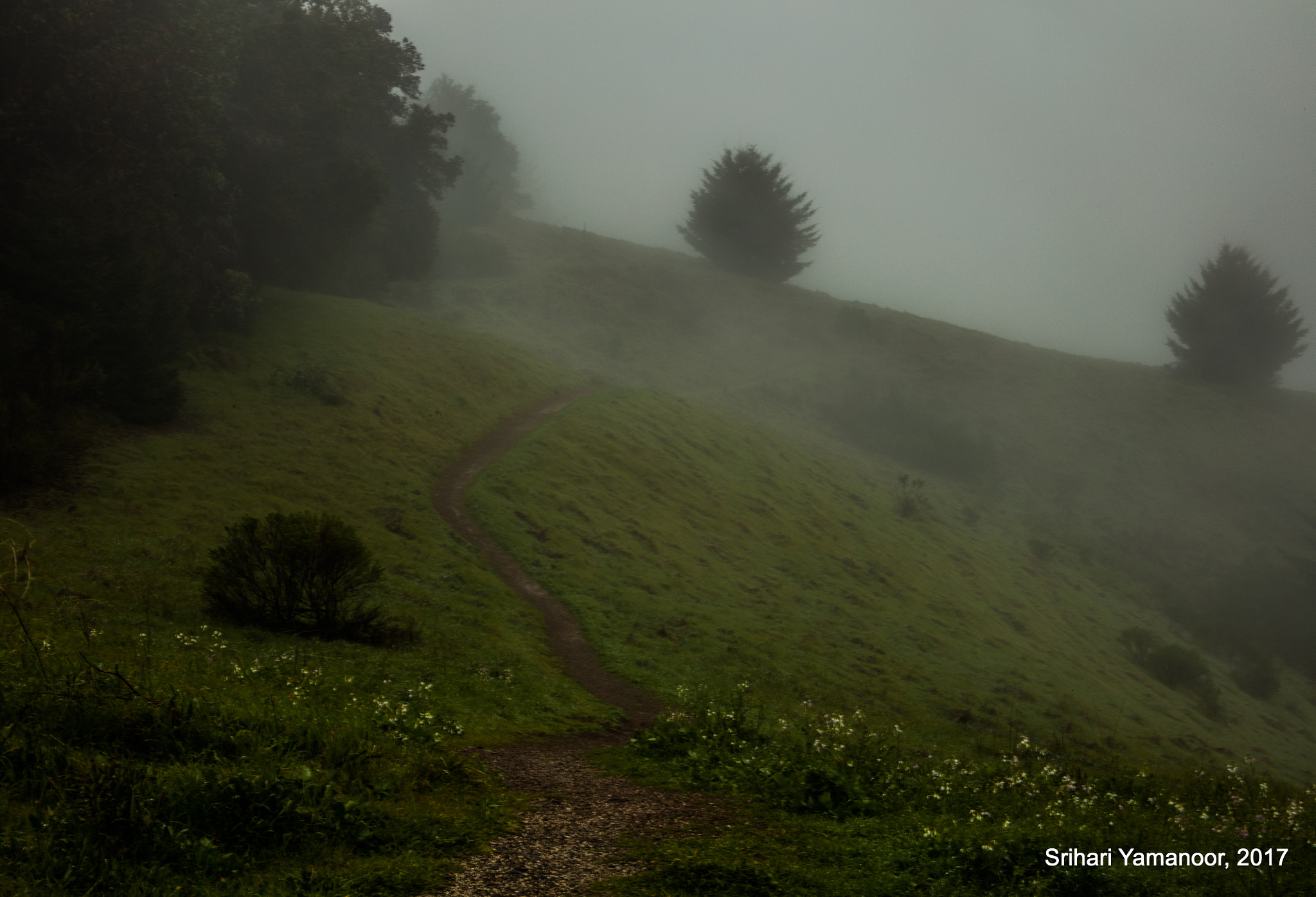 Canon EOS 5DS R + Canon EF 28-135mm F3.5-5.6 IS USM sample photo. Channeling robert browning photography