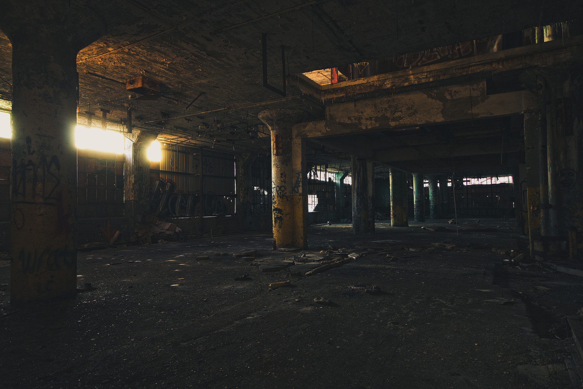 Canon EOS 60D + Sigma 10-20mm F4-5.6 EX DC HSM sample photo. Plant complex photography
