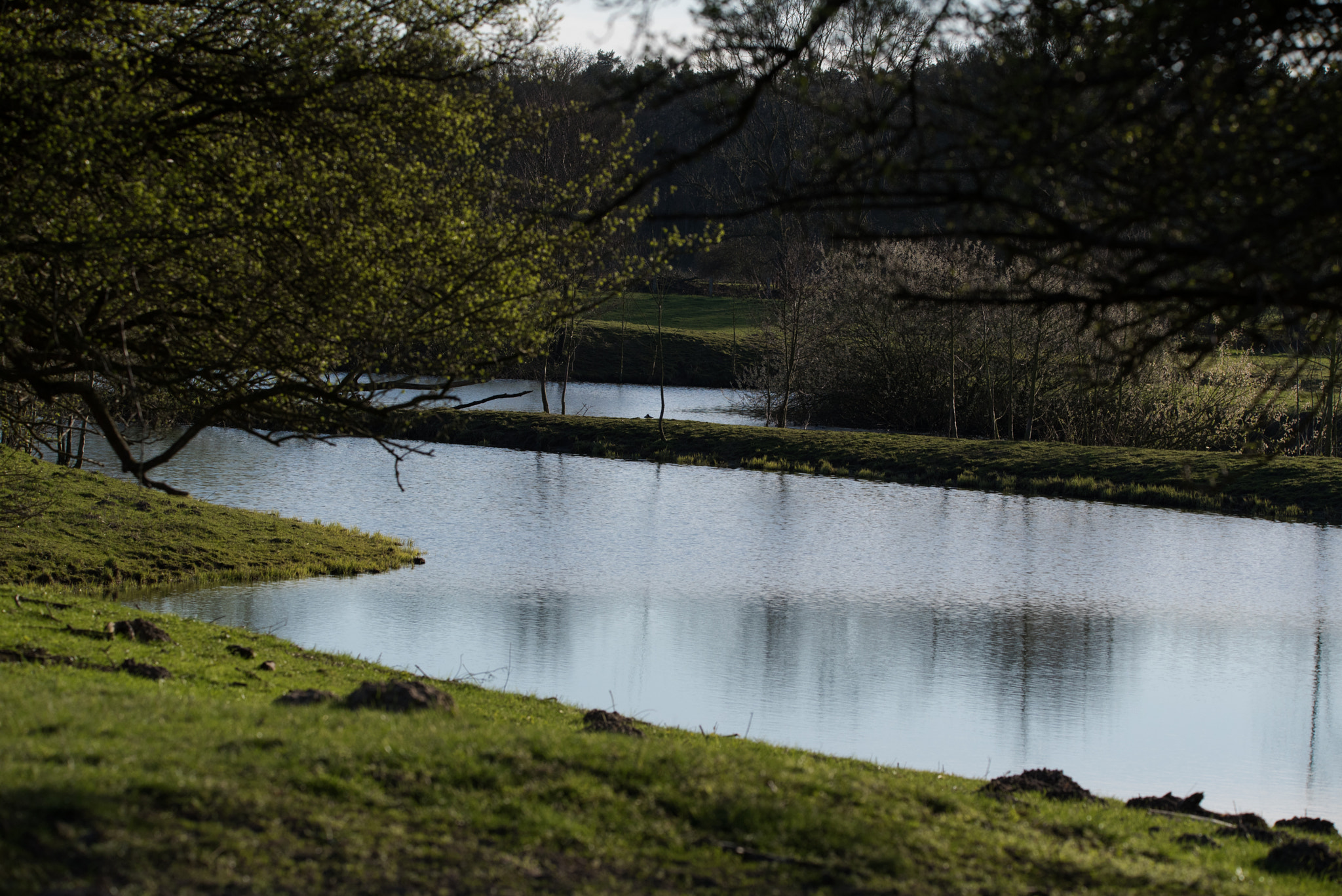 Sigma 150-600mm F5-6.3 DG OS HSM | C sample photo. Spring at an old river branch "ems" photography