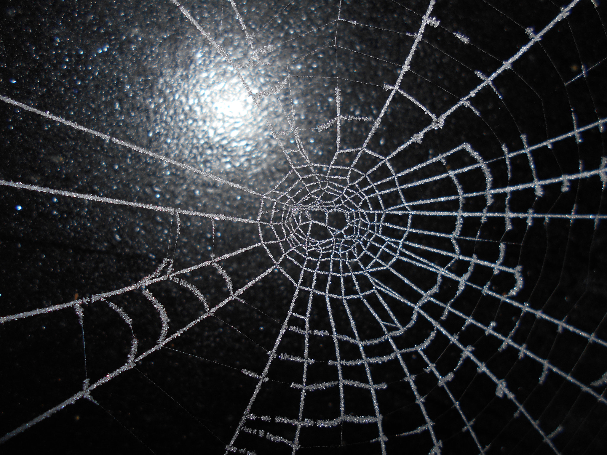 Nikon Coolpix S2900 sample photo. Spider web silhouette photography
