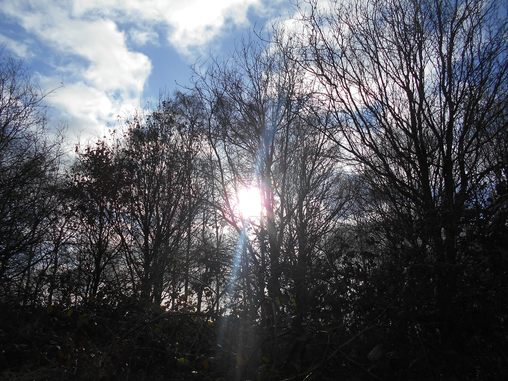 Nikon Coolpix S2900 sample photo. Sunlight photography