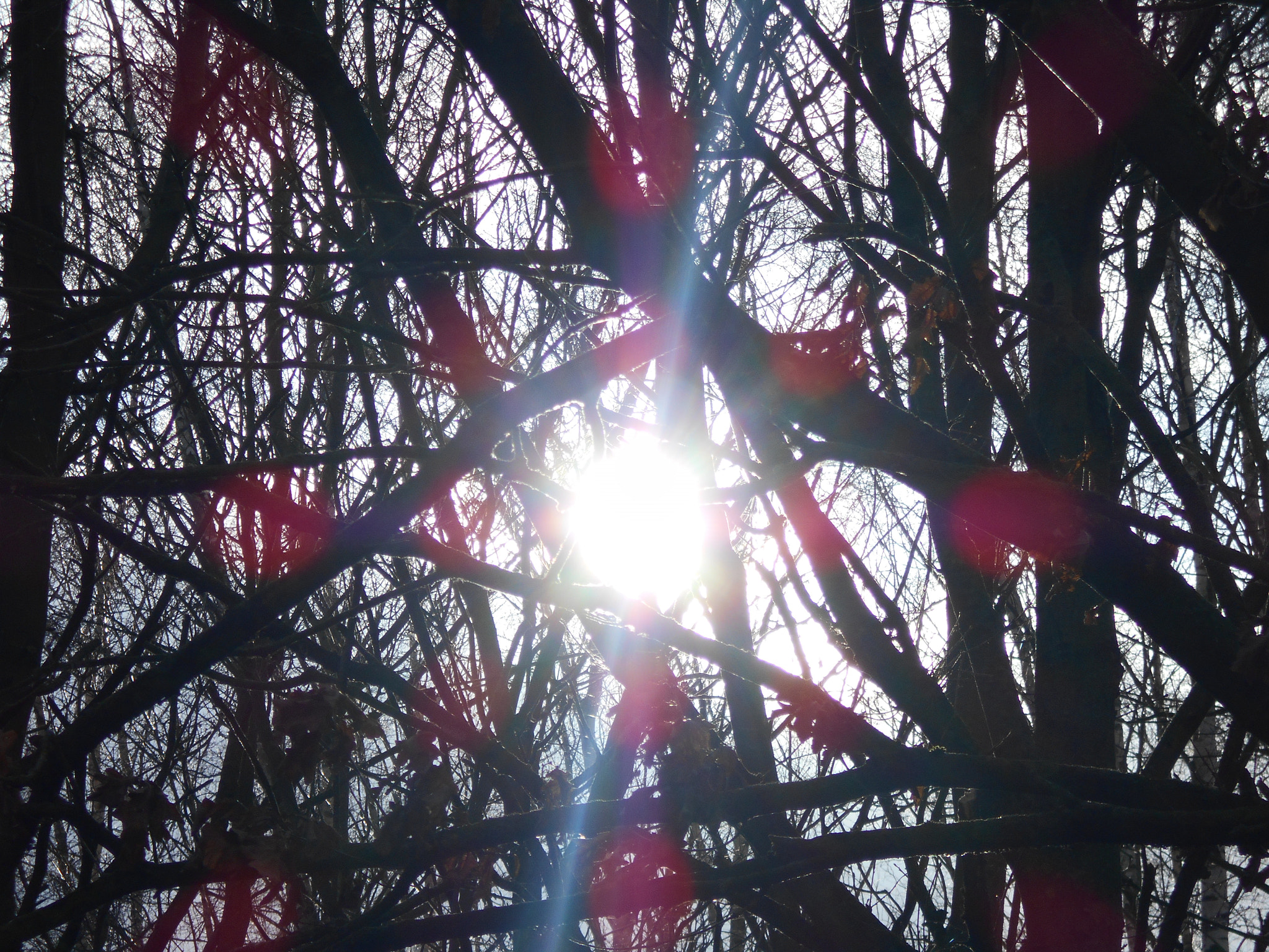 Nikon Coolpix S2900 sample photo. Sunlight photography
