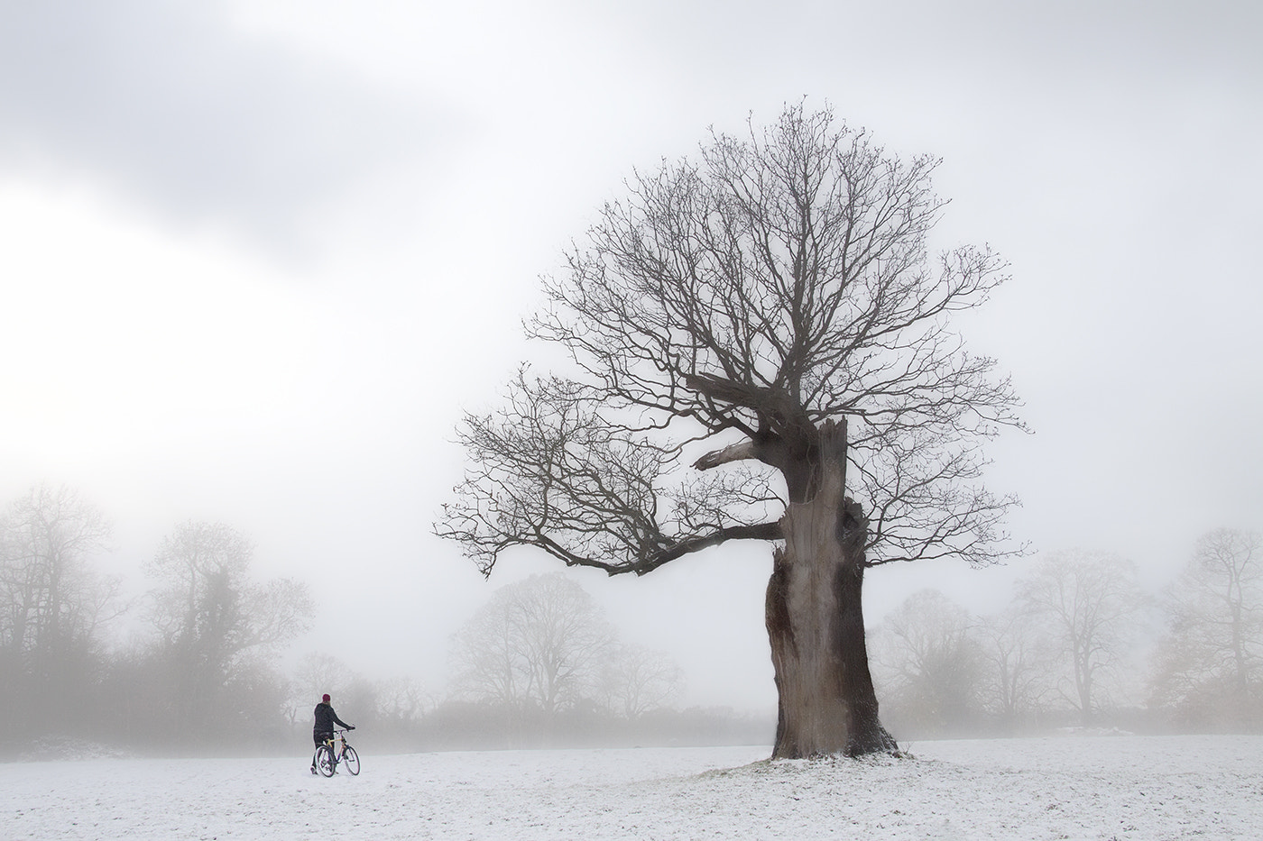 Canon EOS 50D sample photo. Taken at earlham park near uea norwich - i like the contrast better figure and old broken tree photography