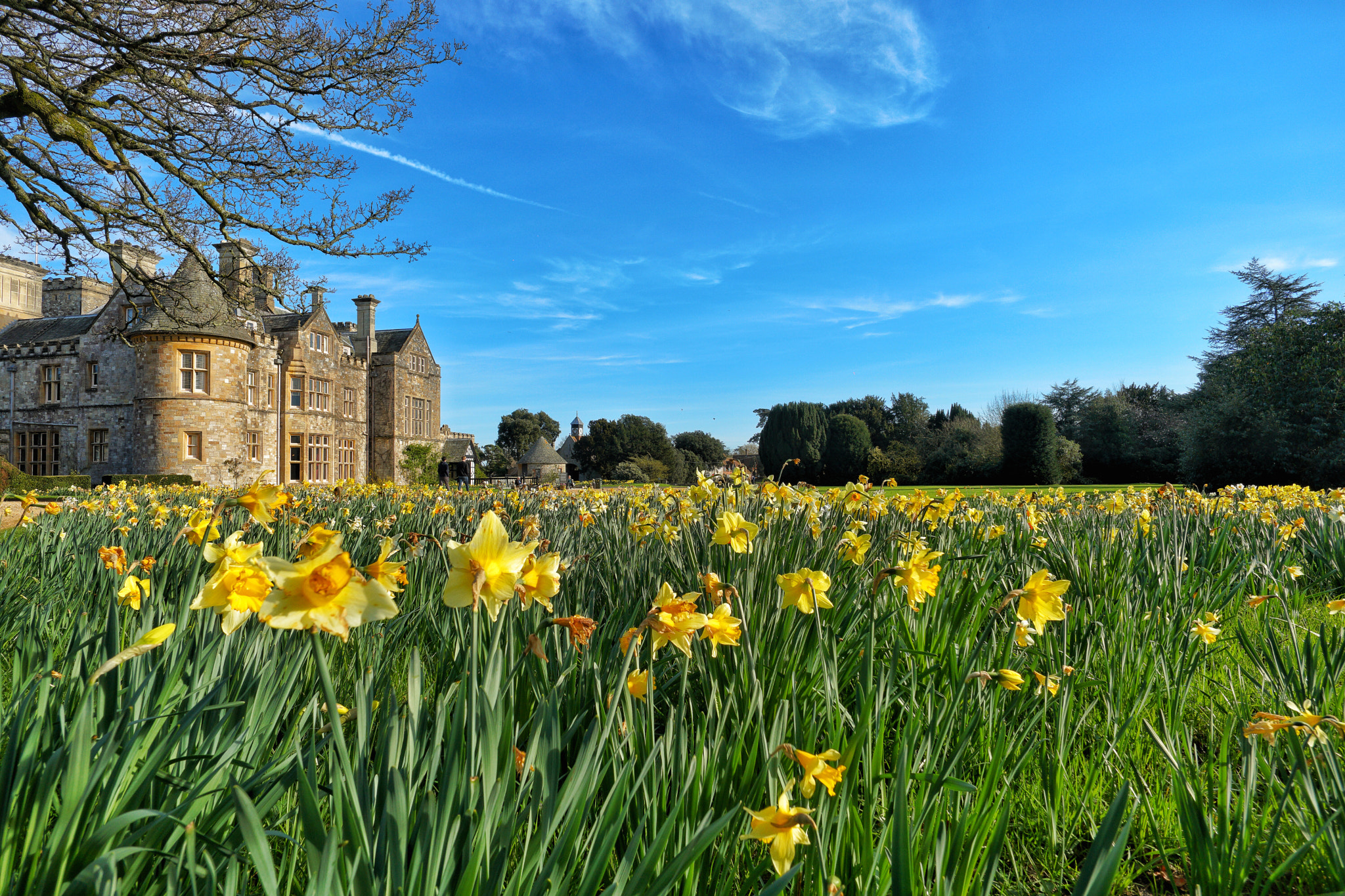 ZEISS Touit 12mm F2.8 sample photo. Palace house - beaulieu motor museum photography