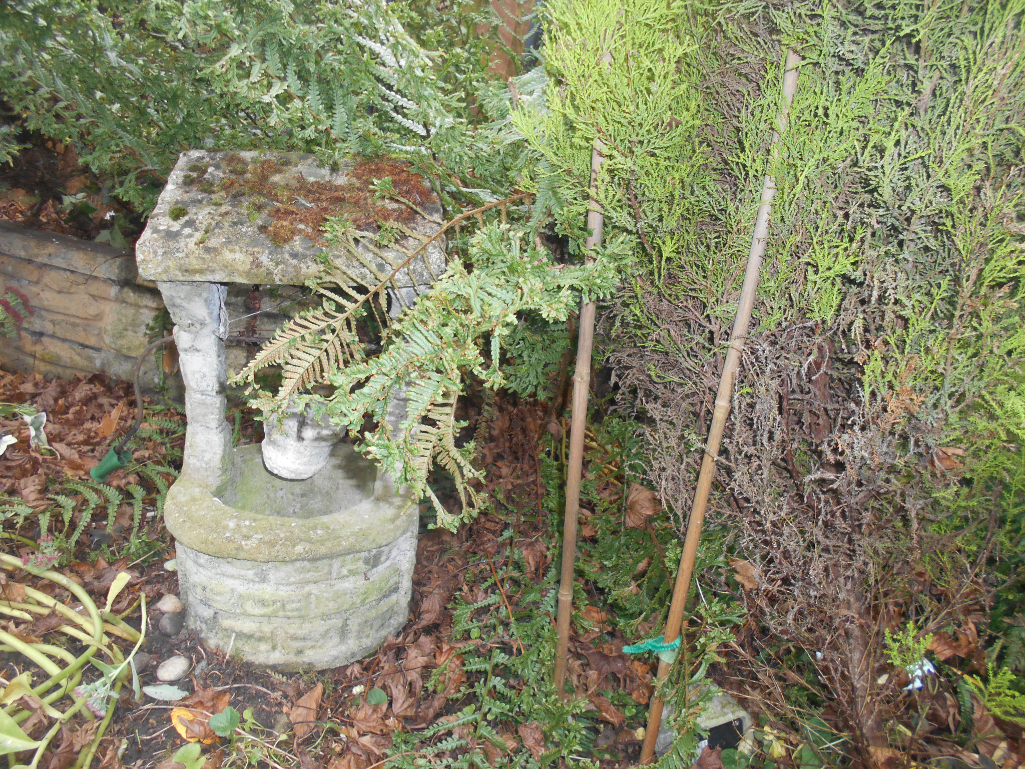 Nikon Coolpix S2900 sample photo. Little well photography