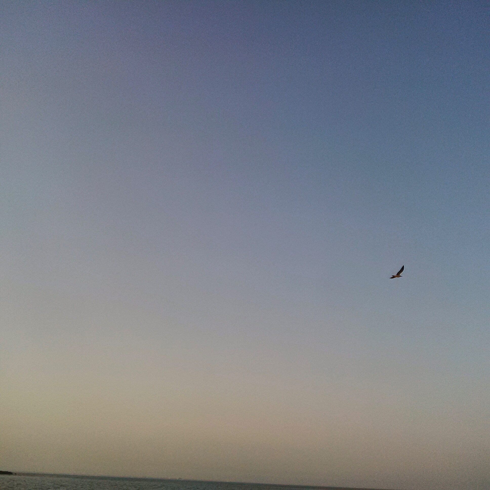 BlackBerry Q5 sample photo