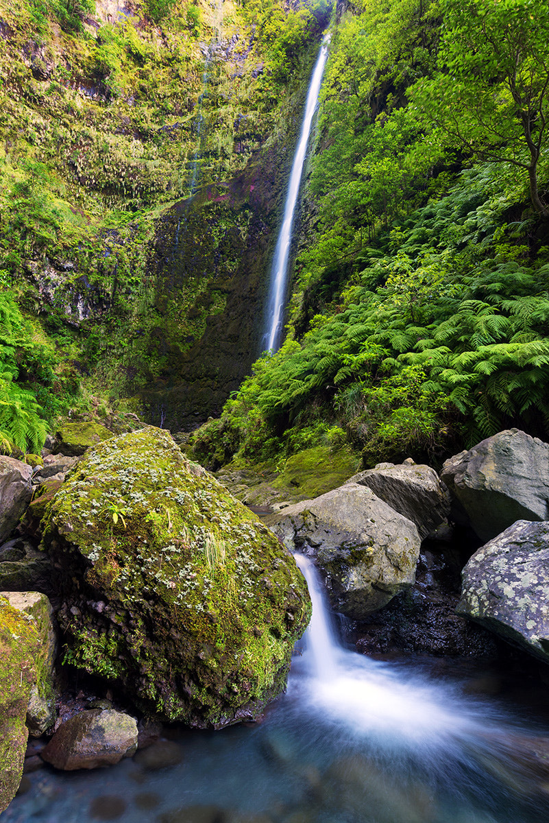 Nikon AF-S Nikkor 18-35mm F3.5-4.5G ED sample photo. Caldeirao verde photography