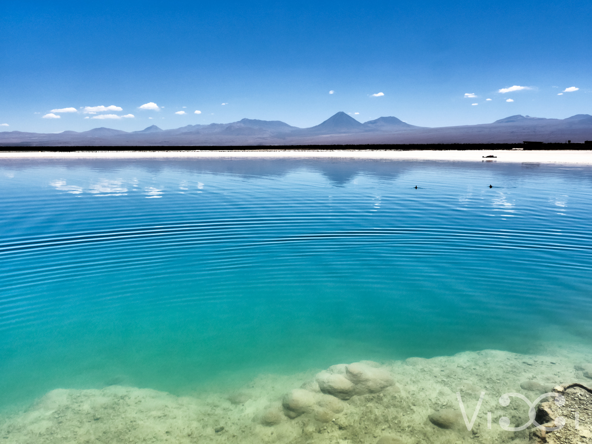 Panasonic Lumix DMC-GH4 + OLYMPUS M.12mm F2.0 sample photo. Oasis in the desert san pedro de atacama photography