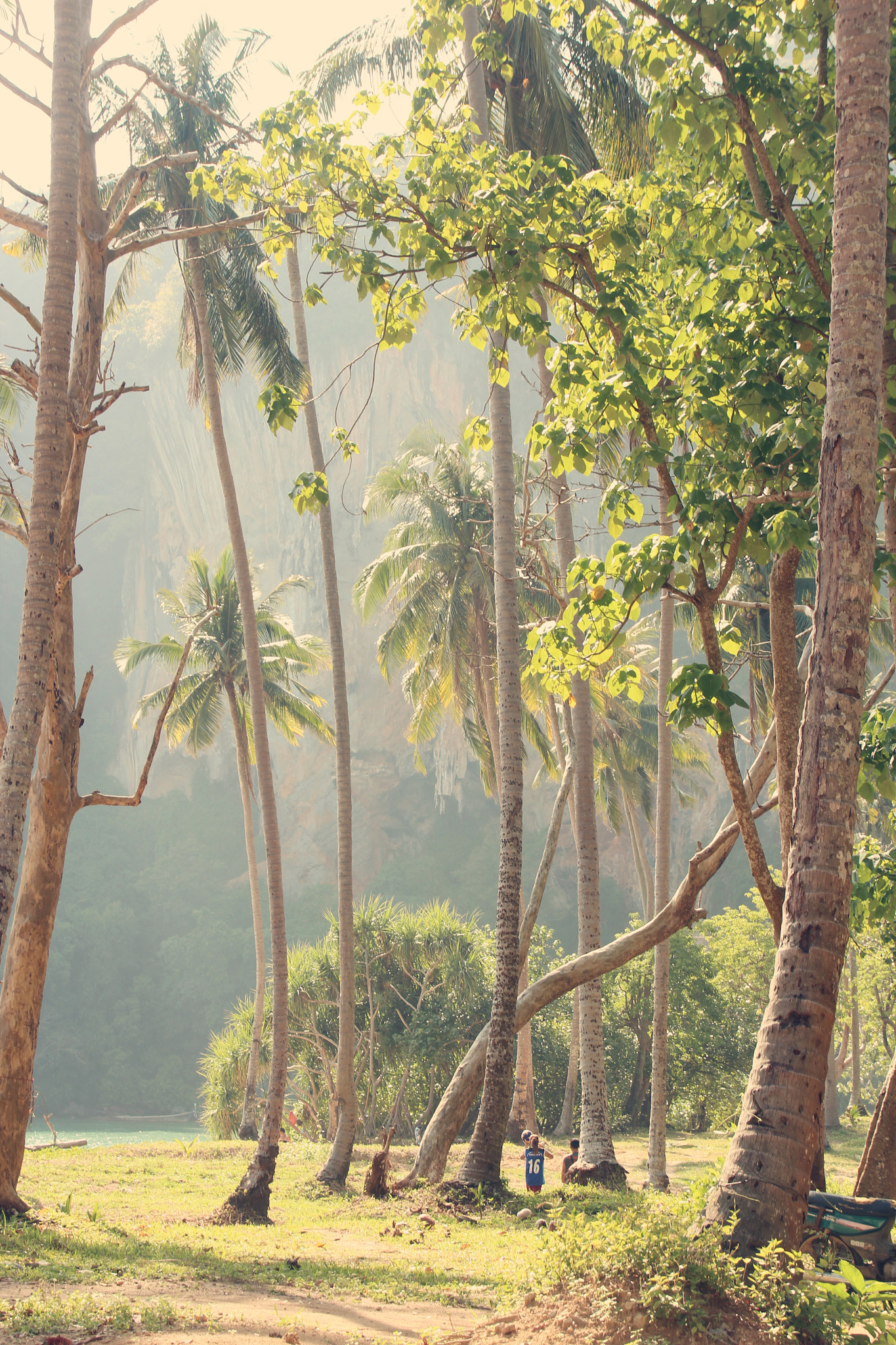 Sigma 18-200mm F3.5-6.3 II DC OS HSM sample photo. Ton sai beach, krabi photography