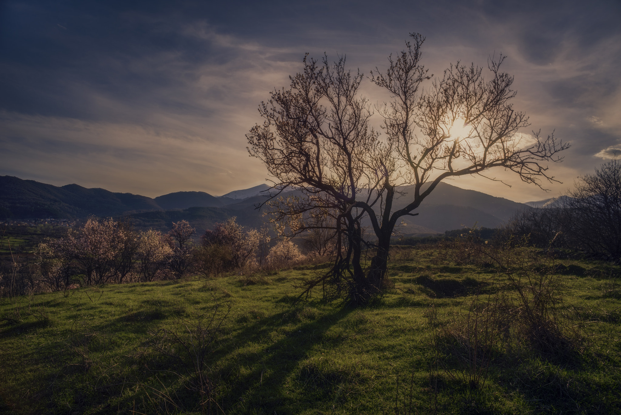 Pentax K-1 + A Series Lens sample photo. Sring time photography