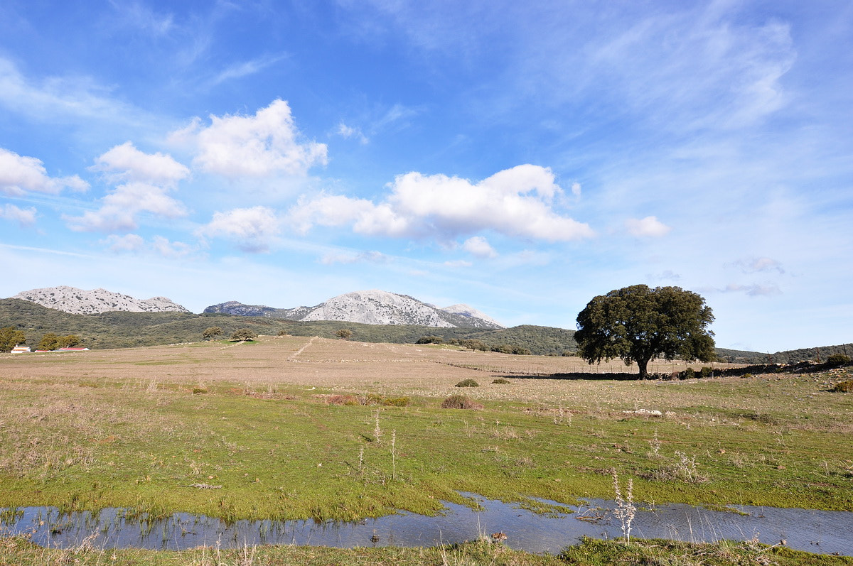Nikon D90 sample photo. Tierras de montaña photography