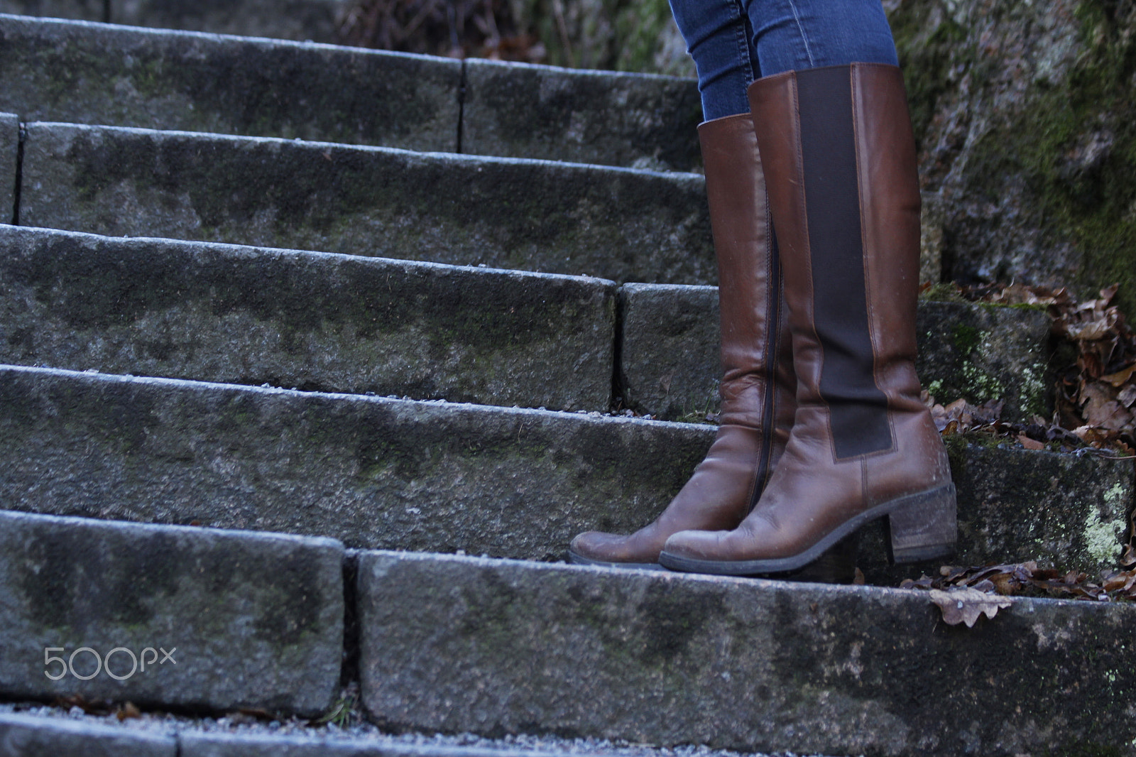 Canon EF 70-300mm F4-5.6 IS USM sample photo. Steps photography