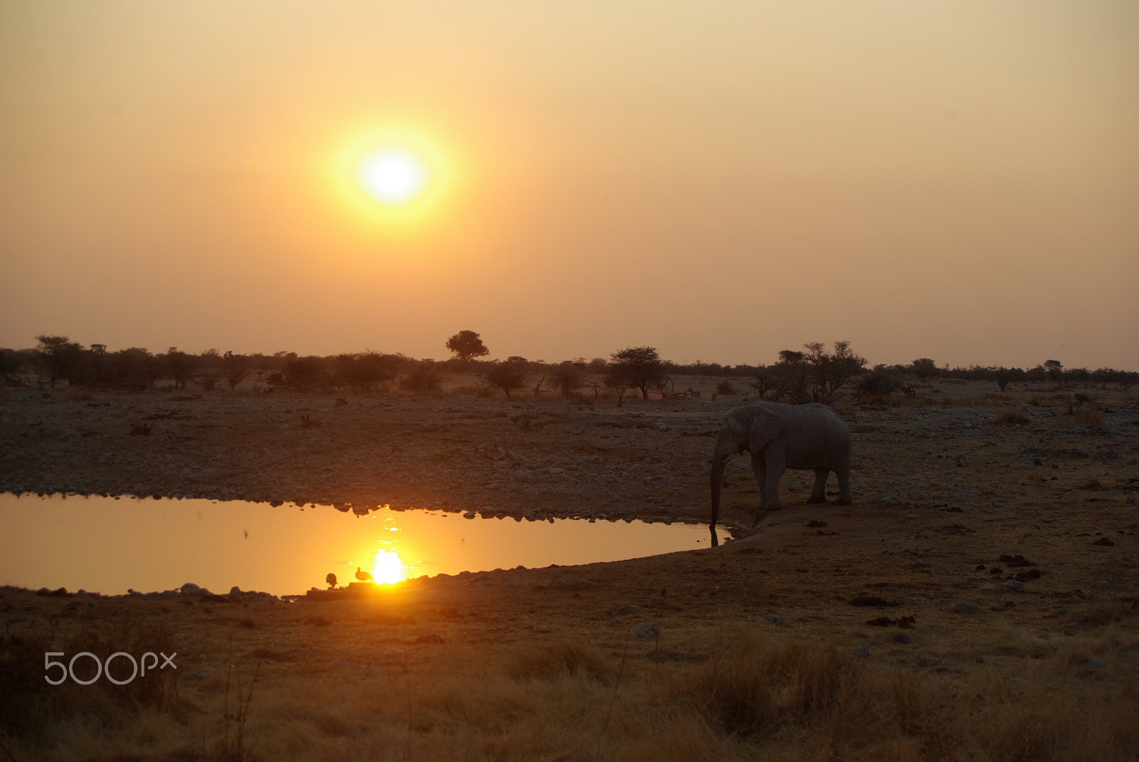 Pentax K10D sample photo. Beautiful sunset in namibia photography