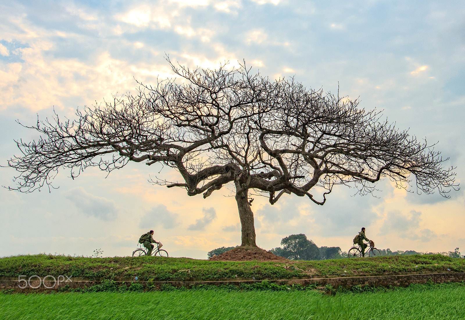 Nikon D810 + Nikon AF-S Nikkor 20mm F1.8G ED sample photo. A photo of two girls enjoying a bicycle ride in countryside, at thach that, ha tay, vietnam photography