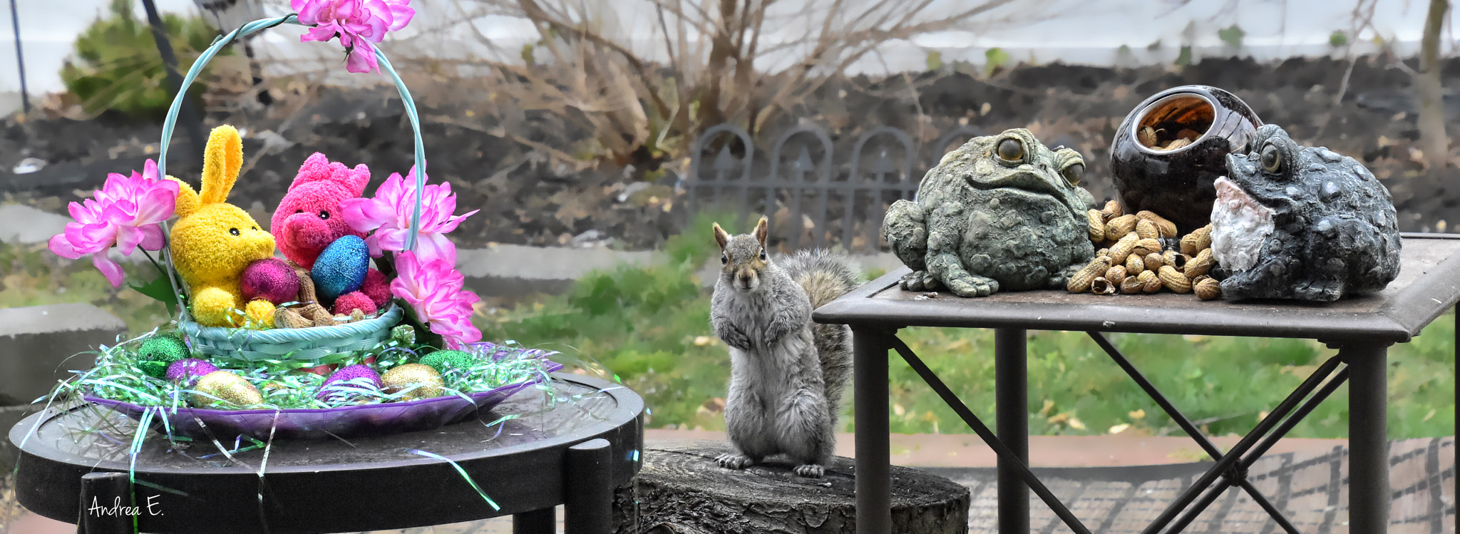 Nikon D7200 sample photo. Am i dreaming?? photography