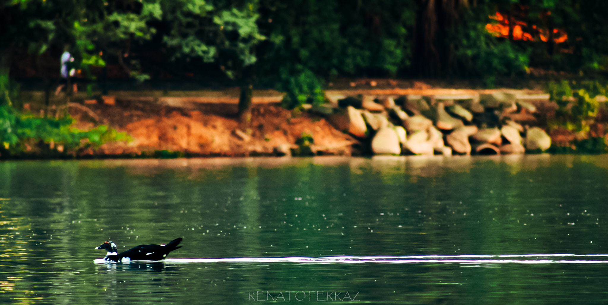 Canon EF 75-300mm f/4-5.6 USM sample photo