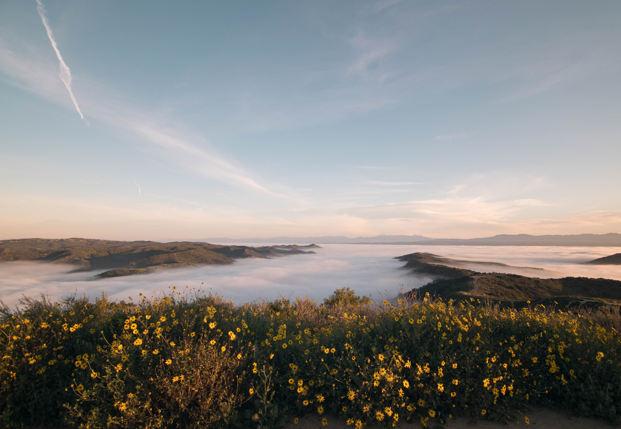 Nikon D3300 + Tokina AT-X Pro 11-16mm F2.8 DX II sample photo. Morning hike above the marine layer photography