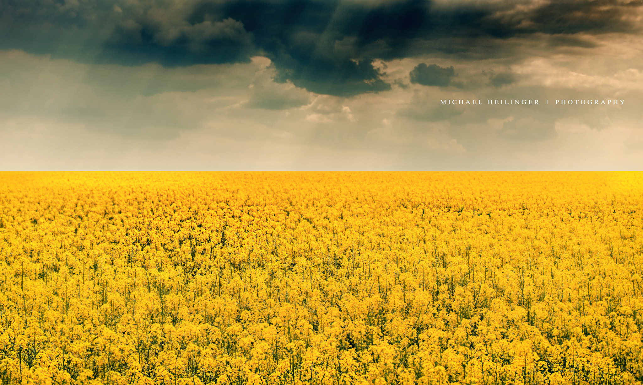Nikon D810 sample photo. Old times photography