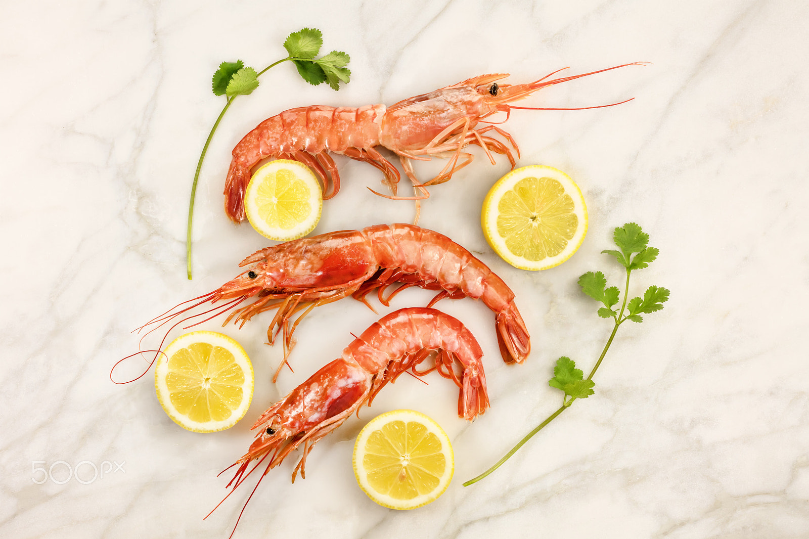 Canon EOS 5DS R + Canon EF 50mm F1.4 USM sample photo. Raw shrimps with slices of lemon, cilantro, and copyspace photography