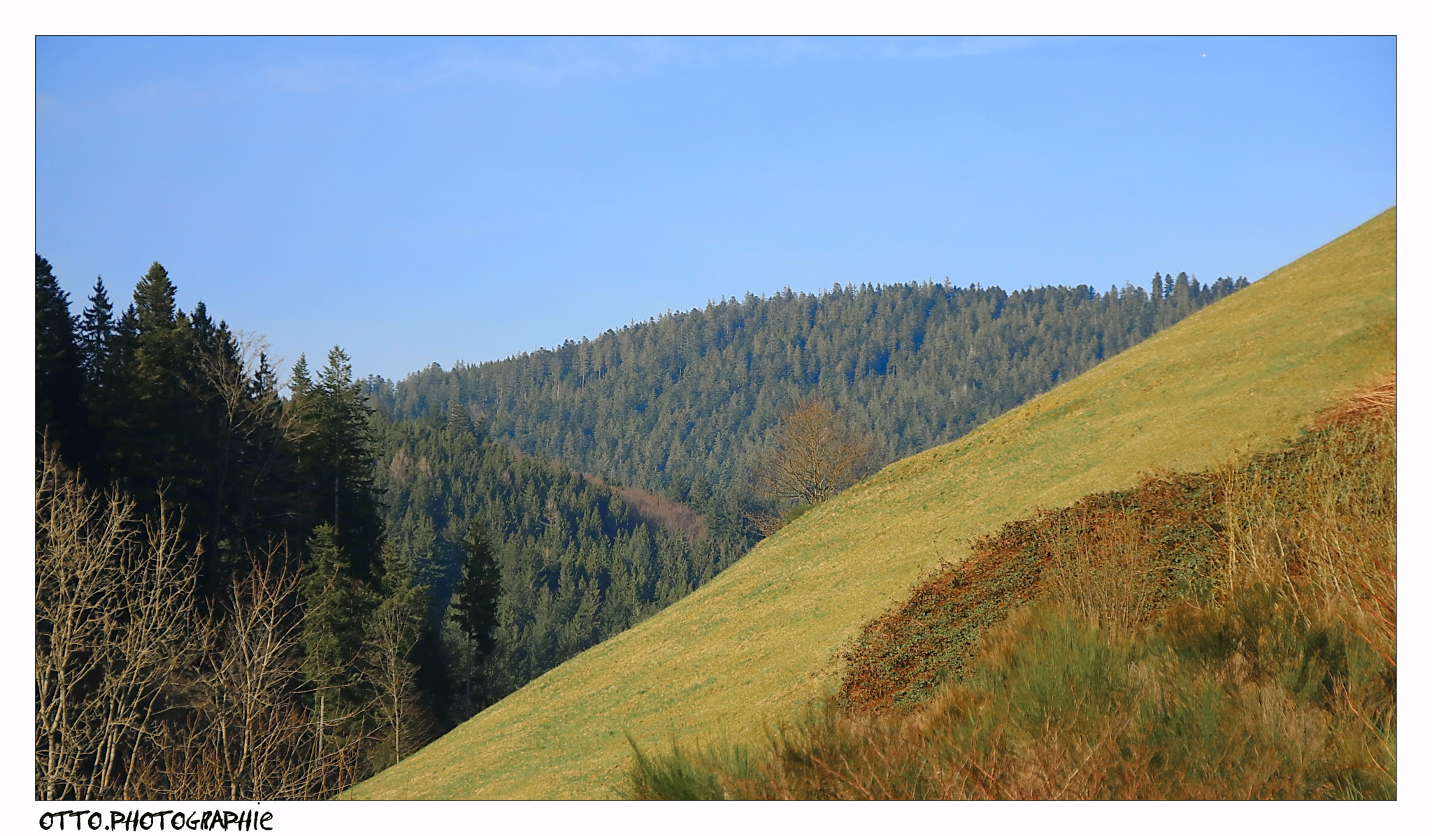 Canon EOS 750D (EOS Rebel T6i / EOS Kiss X8i) sample photo. Schwarzwald bei bad rippoldsau-schapbach photography