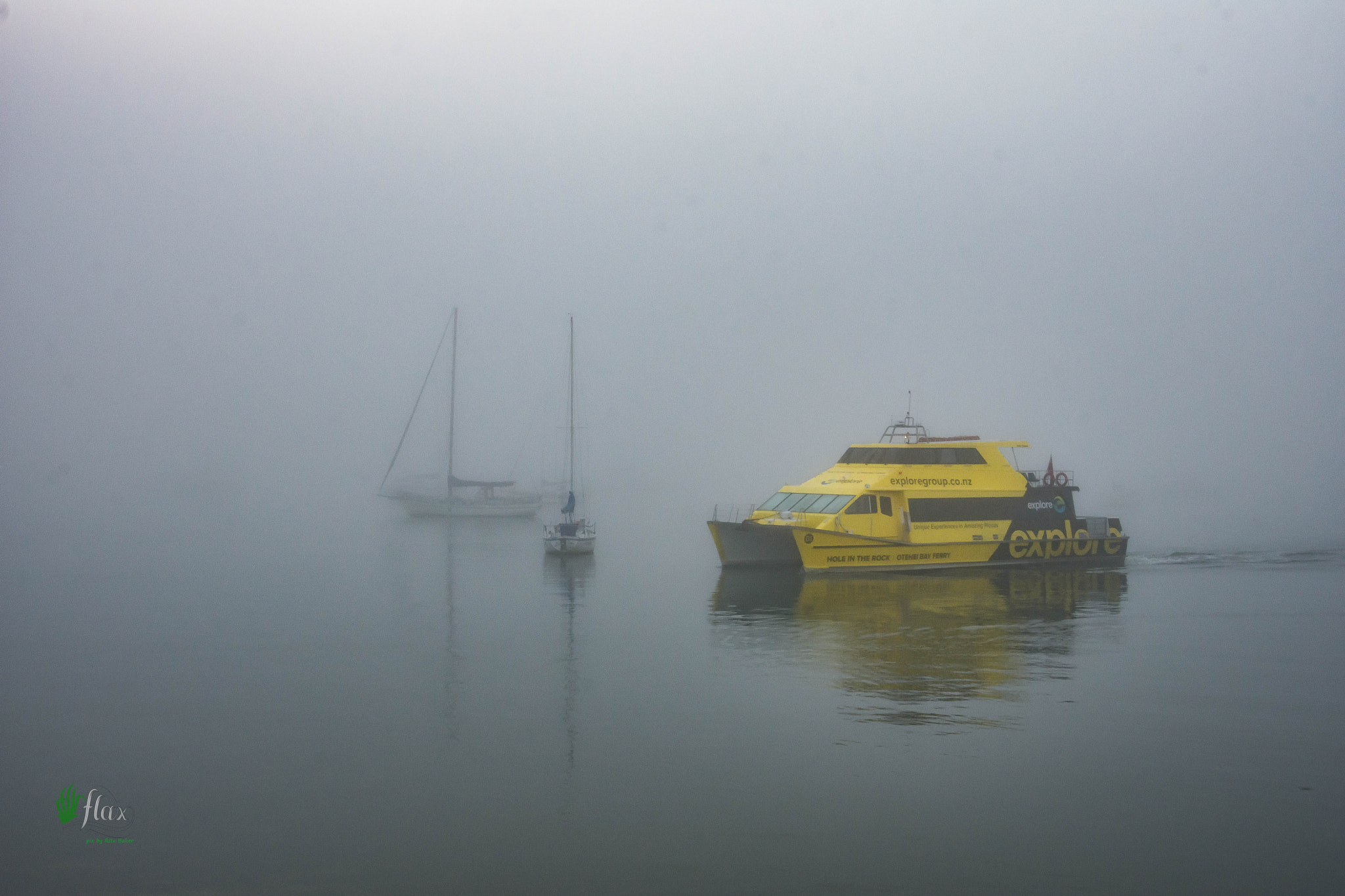 Nikon D7200 sample photo. Dolphin seeker boat in the fog photography