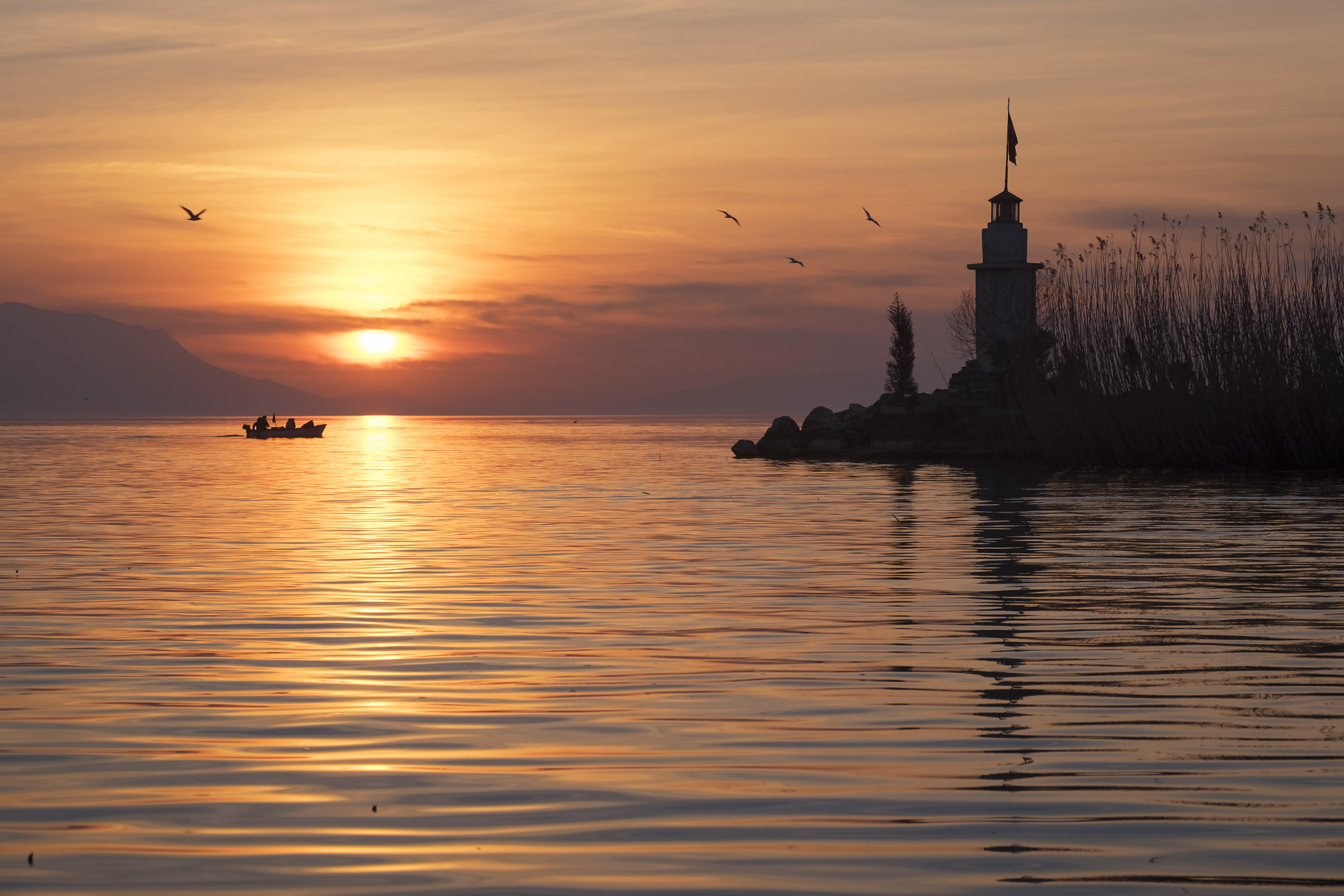 Fujifilm X-T1 + Fujifilm XF 16-55mm F2.8 R LM WR sample photo. Lighthouse photography