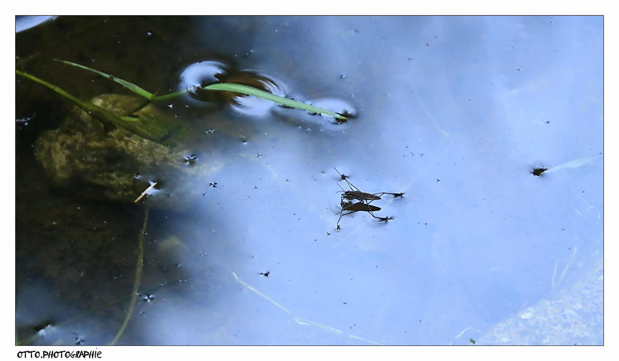 Canon EOS 750D (EOS Rebel T6i / EOS Kiss X8i) sample photo. Schwarzwald bei bad rippoldsau-schapbach photography