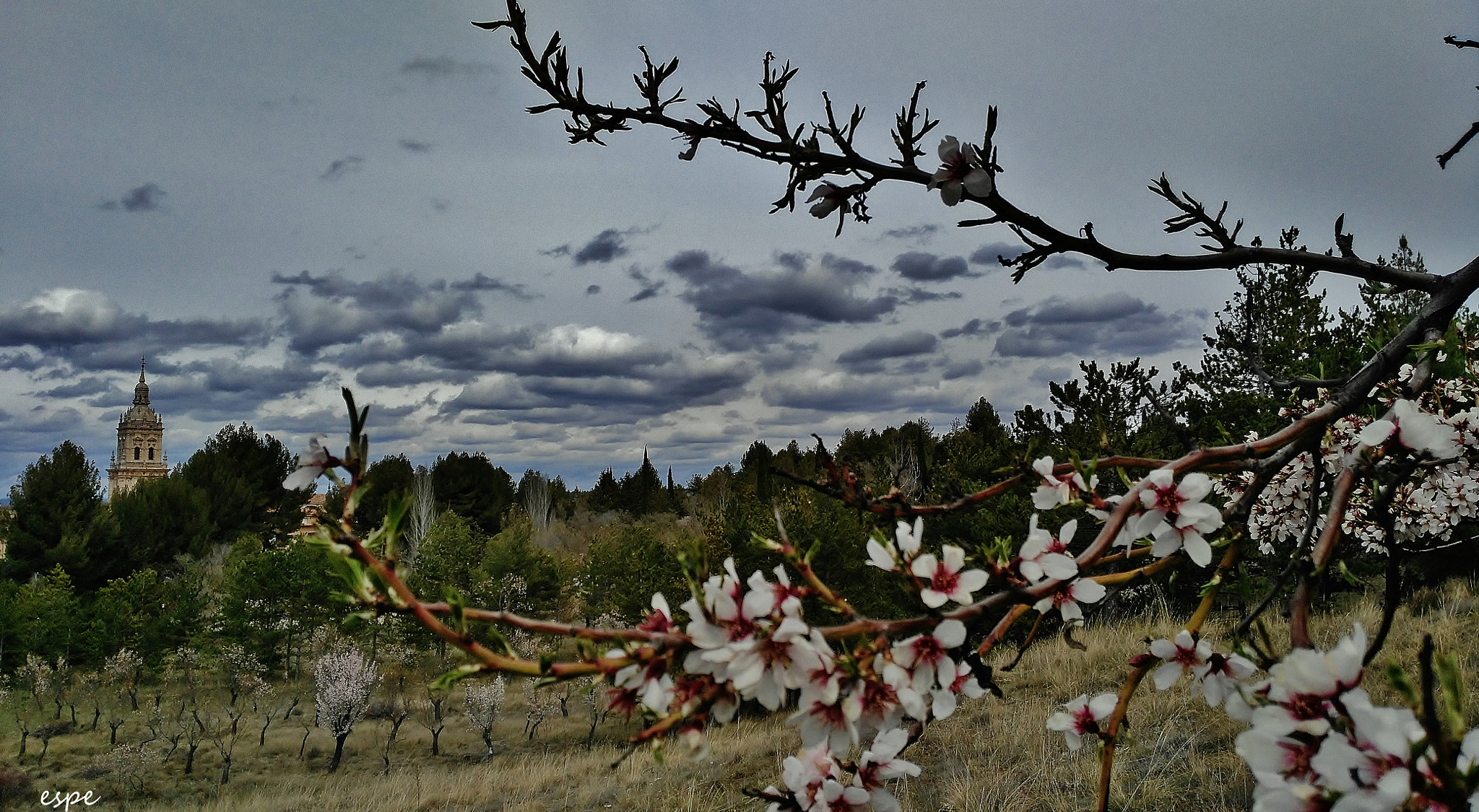 HUAWEI G7-L01 sample photo. Torrealmendro photography