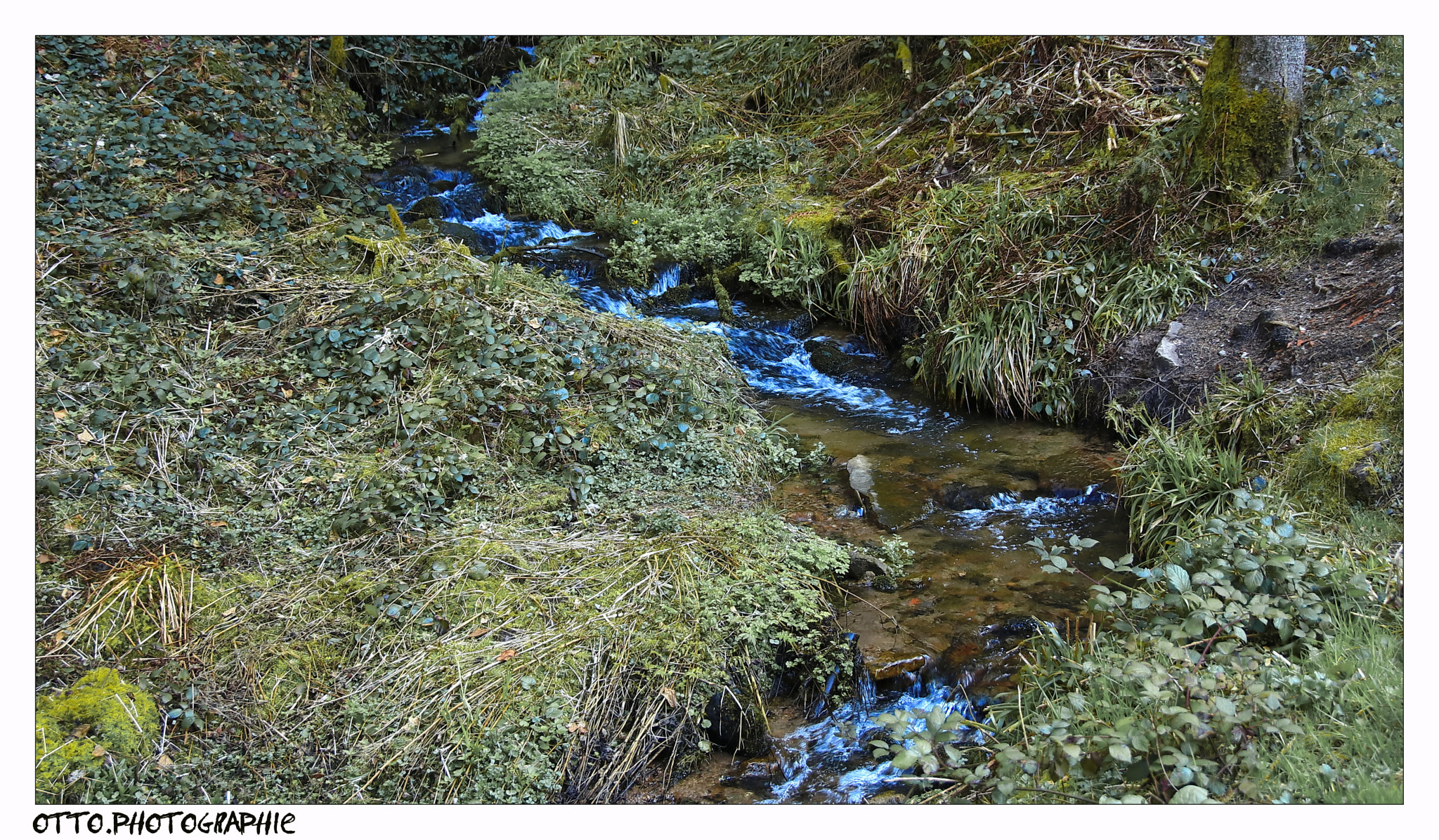 Canon EOS 750D (EOS Rebel T6i / EOS Kiss X8i) sample photo. Schwarzwald bei bad rippoldsau-schapbach photography