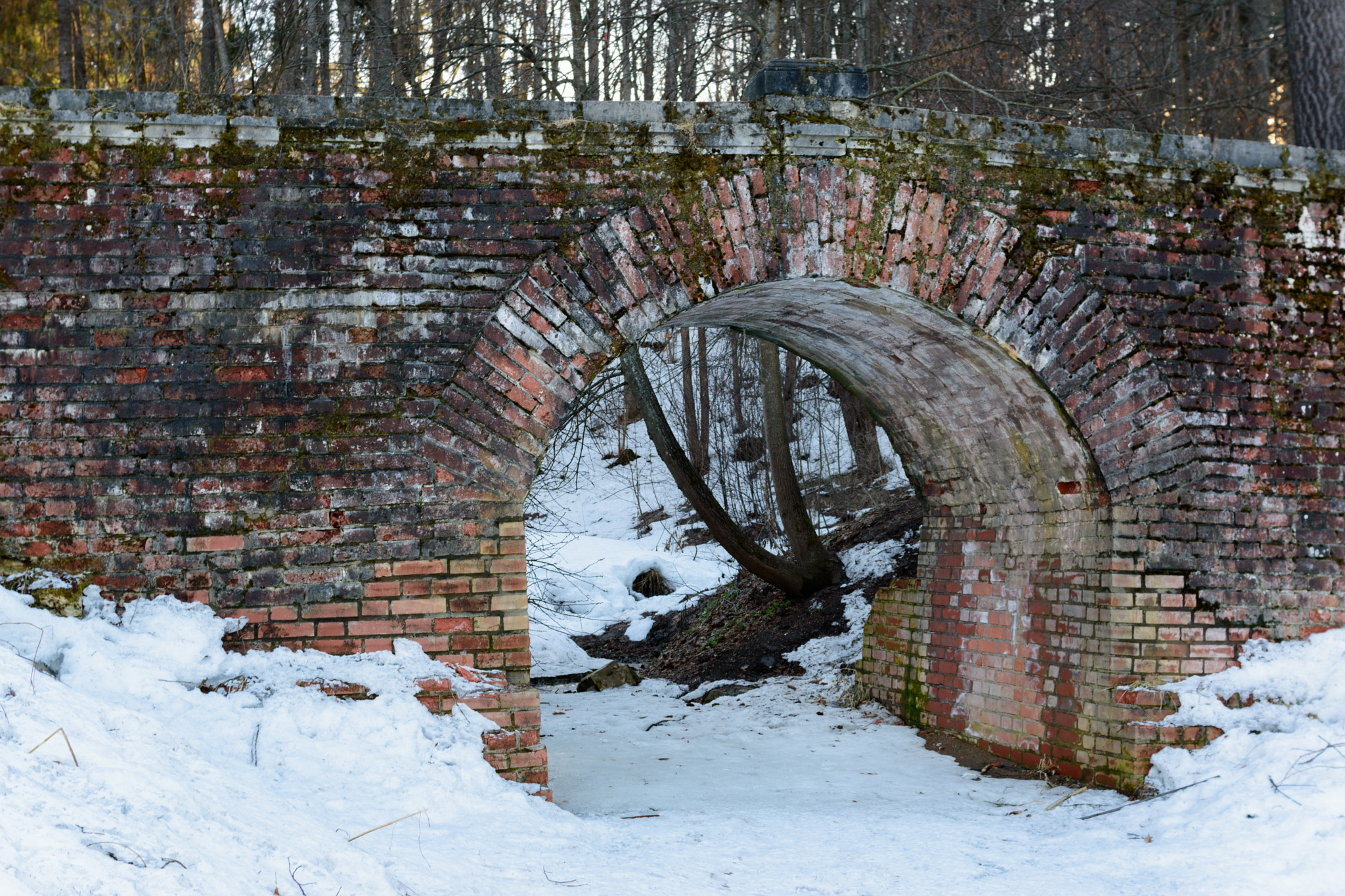 Nikon D5500 sample photo. Old stone bridge photography