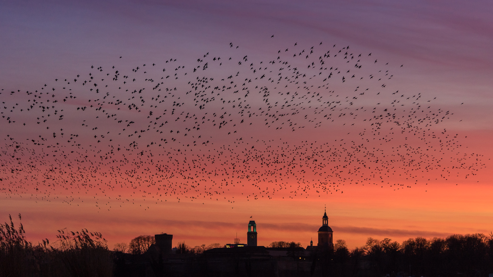 Sony a7 sample photo. Am abendhimmel spandaus photography