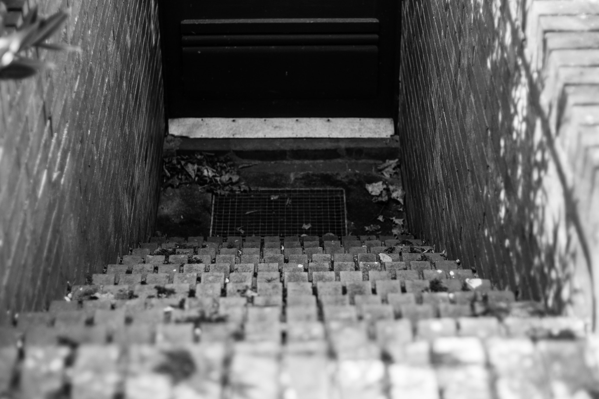 Canon EOS 1100D (EOS Rebel T3 / EOS Kiss X50) + Canon EF 50mm F1.8 STM sample photo. Stairs photography