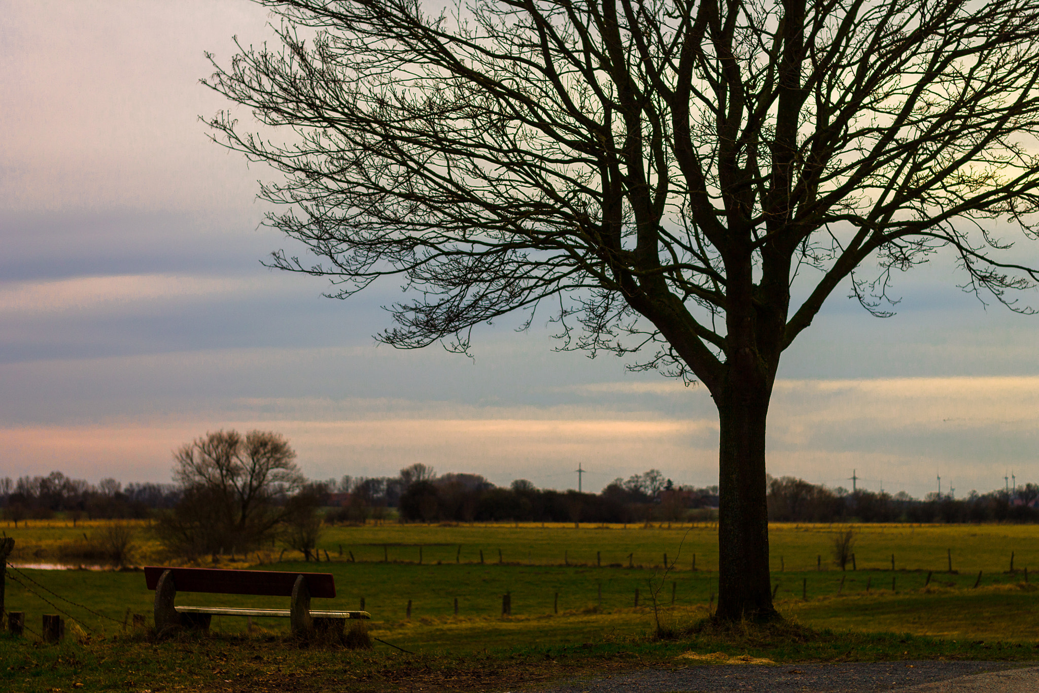 Canon EOS 1100D (EOS Rebel T3 / EOS Kiss X50) sample photo. Bench photography