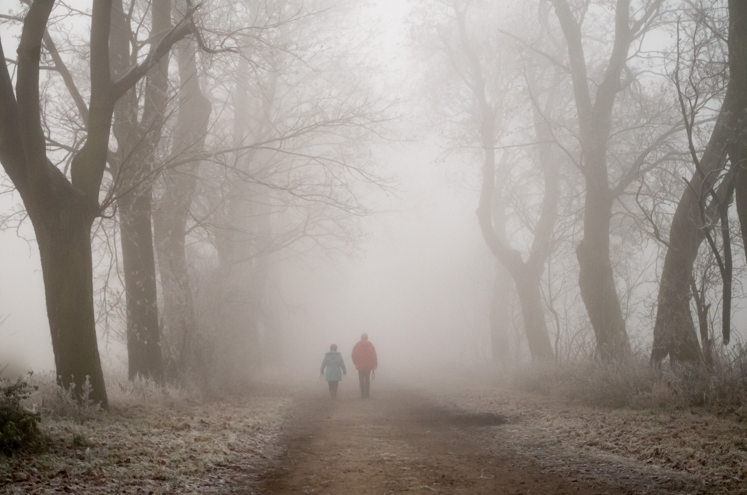 Pentax K-50 + Sigma sample photo. In the fog photography