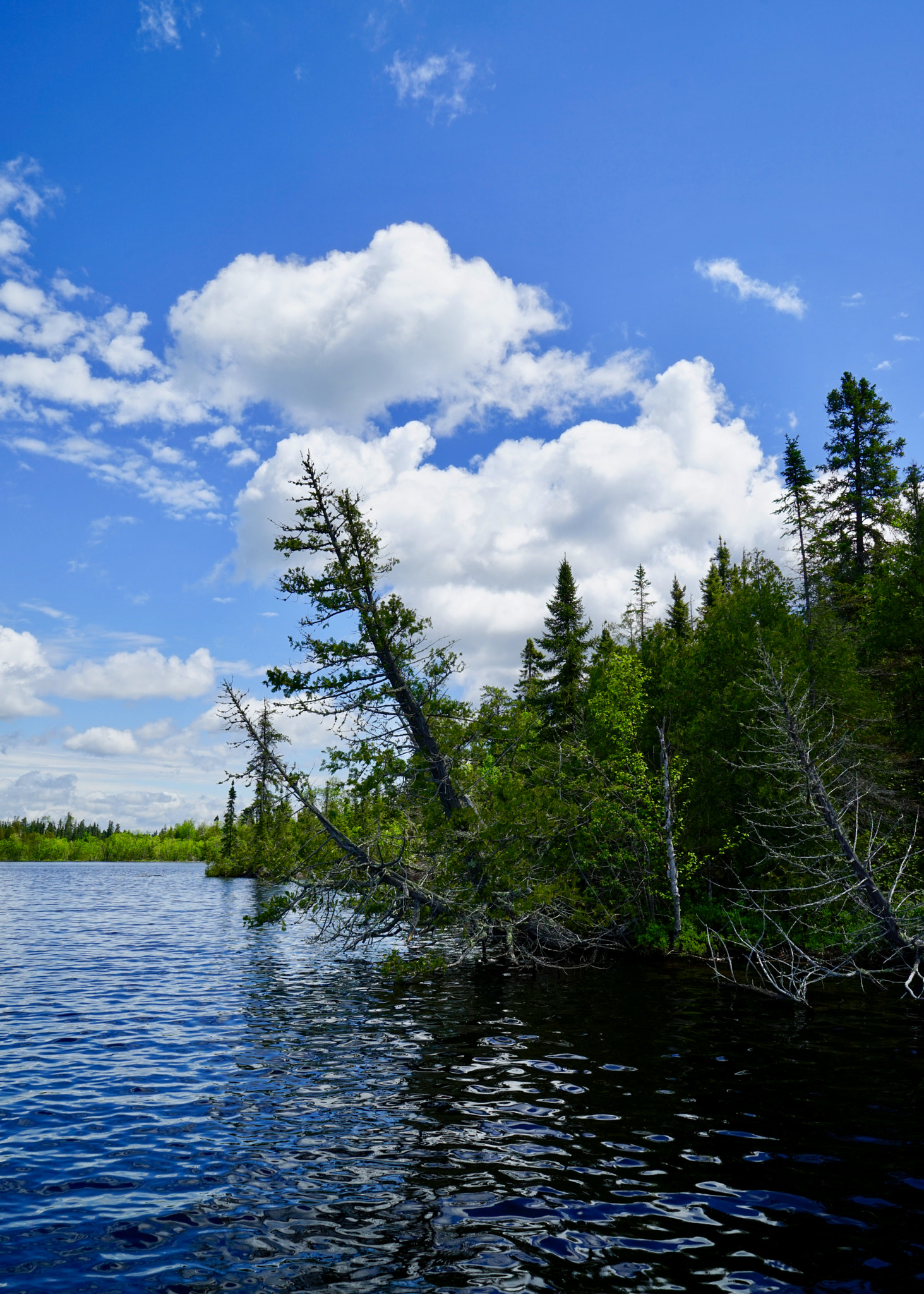 Sony Vario Tessar T* FE 24-70mm F4 ZA OSS sample photo. Clouds over o'sullivan photography